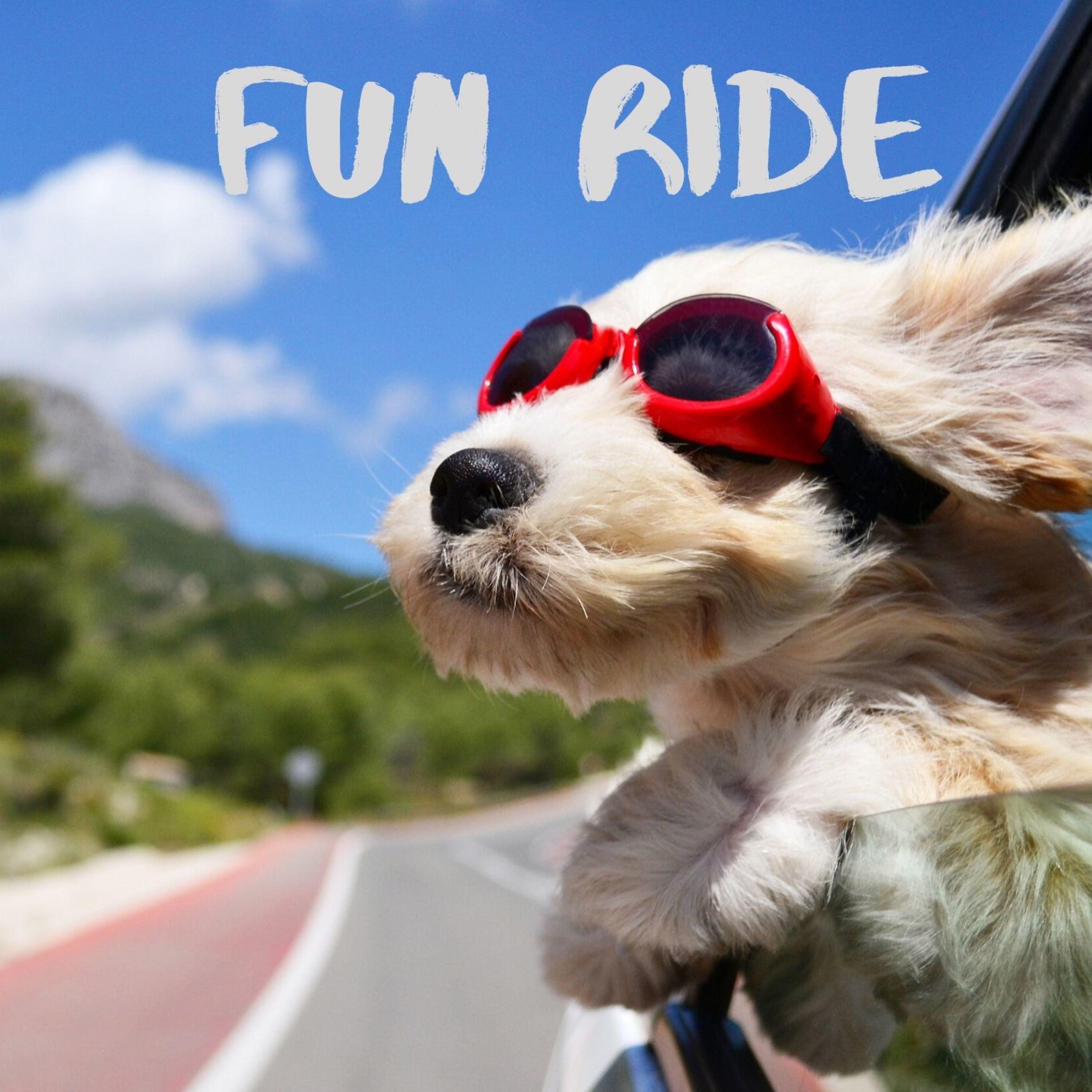 Постер альбома Fun Ride