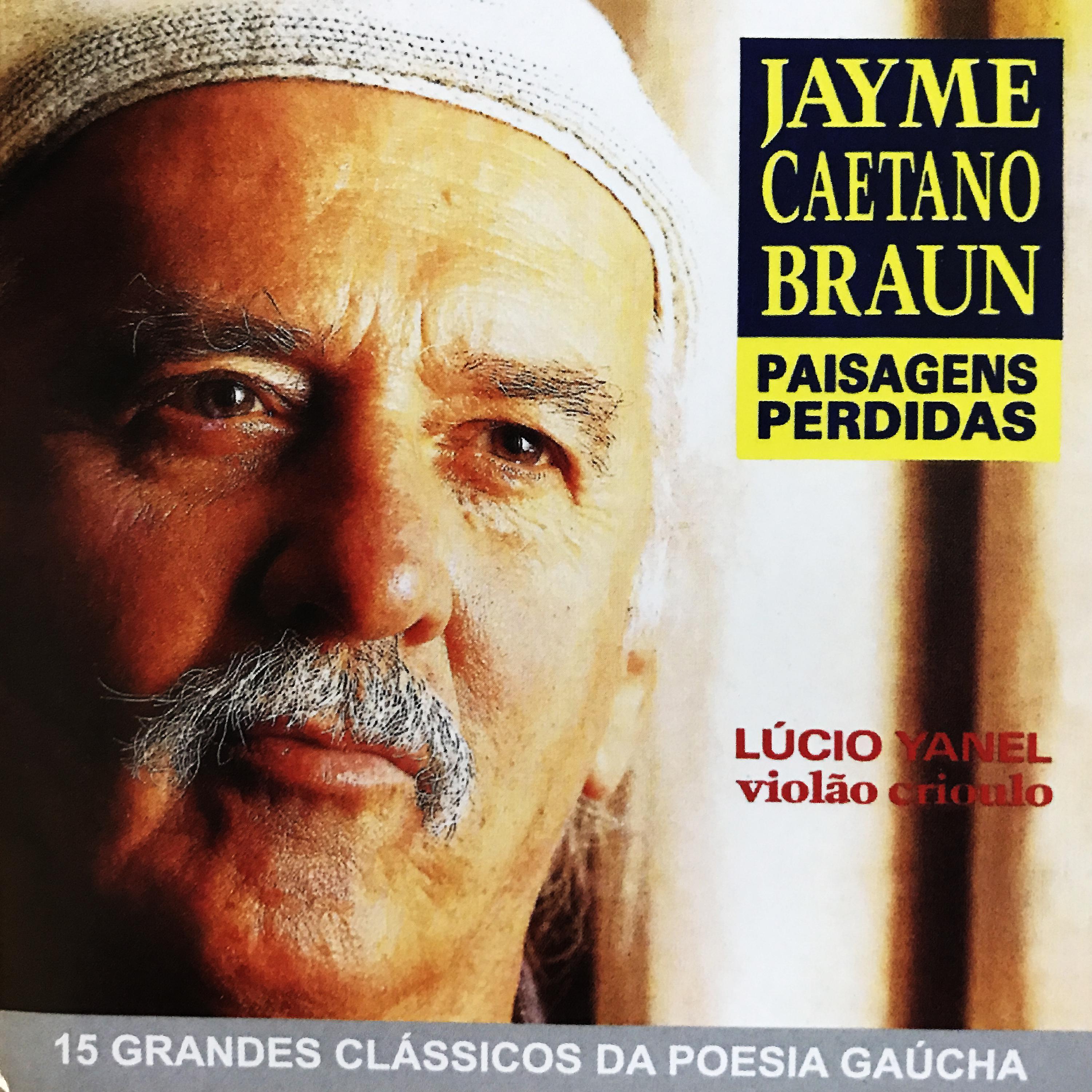 Постер альбома Paisagens Perdidas - 15 Grandes Clássicos da Poesia Gaúcha