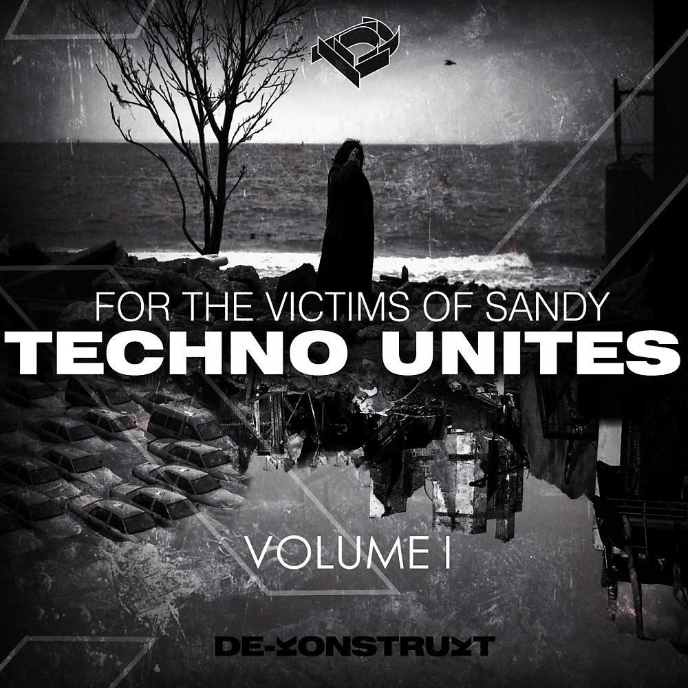 Постер альбома Techno Unites 'Victims of Sandy' Volume I