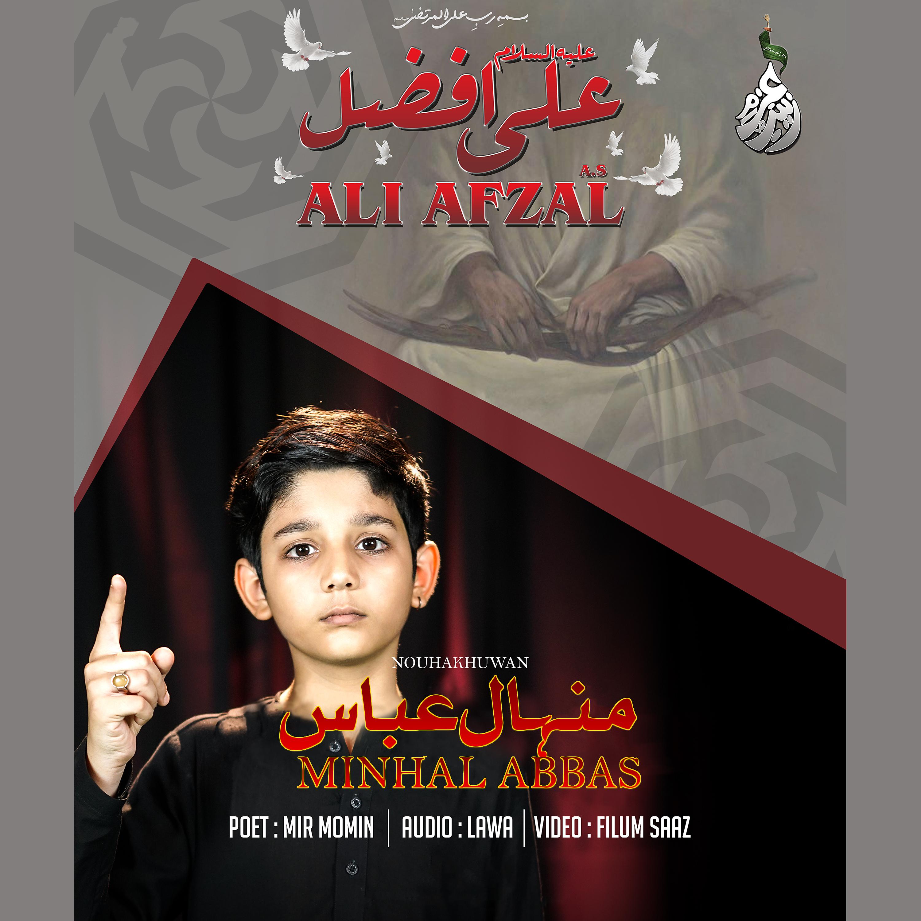 Постер альбома Ali Afzal