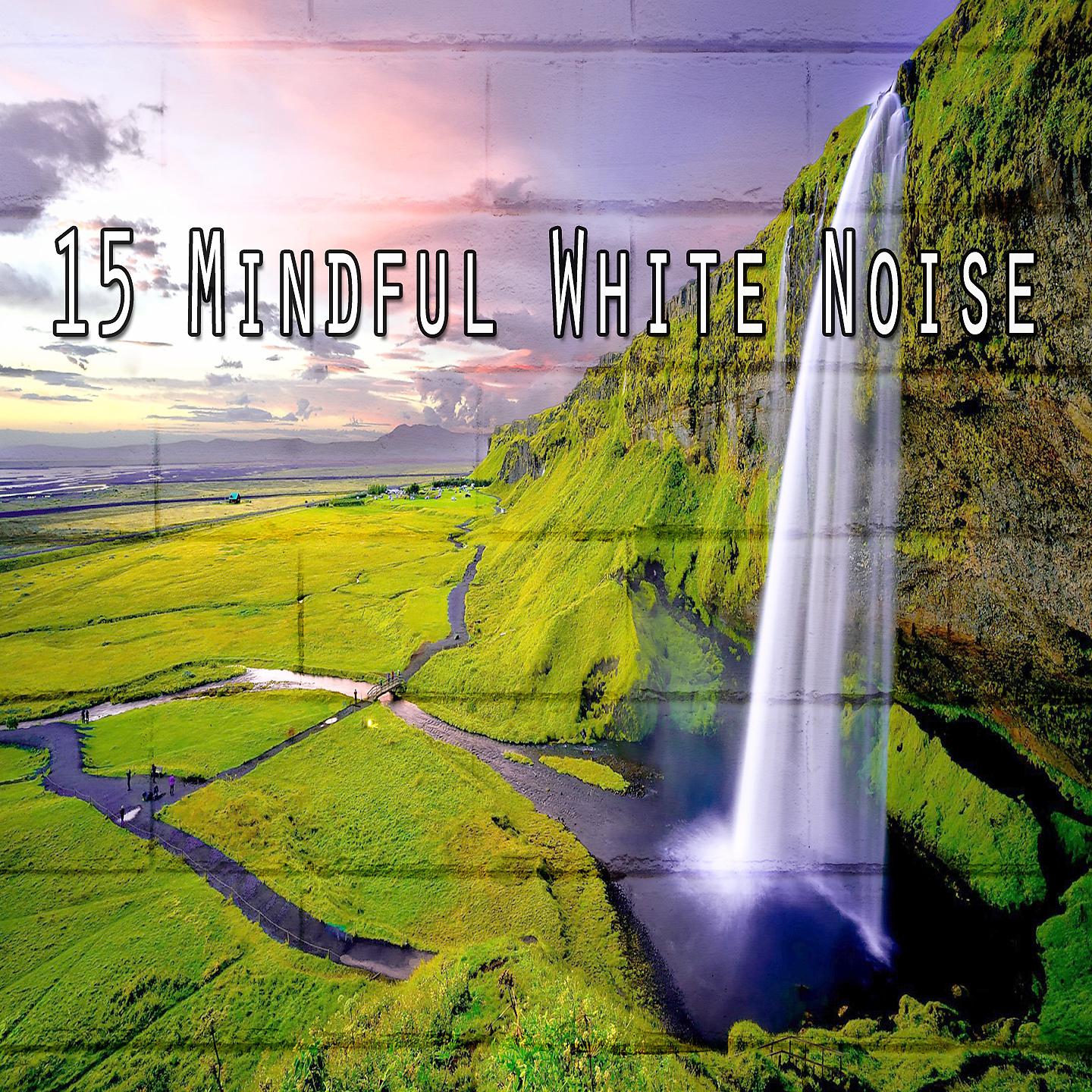 Постер альбома 15 Осознанный белый шум