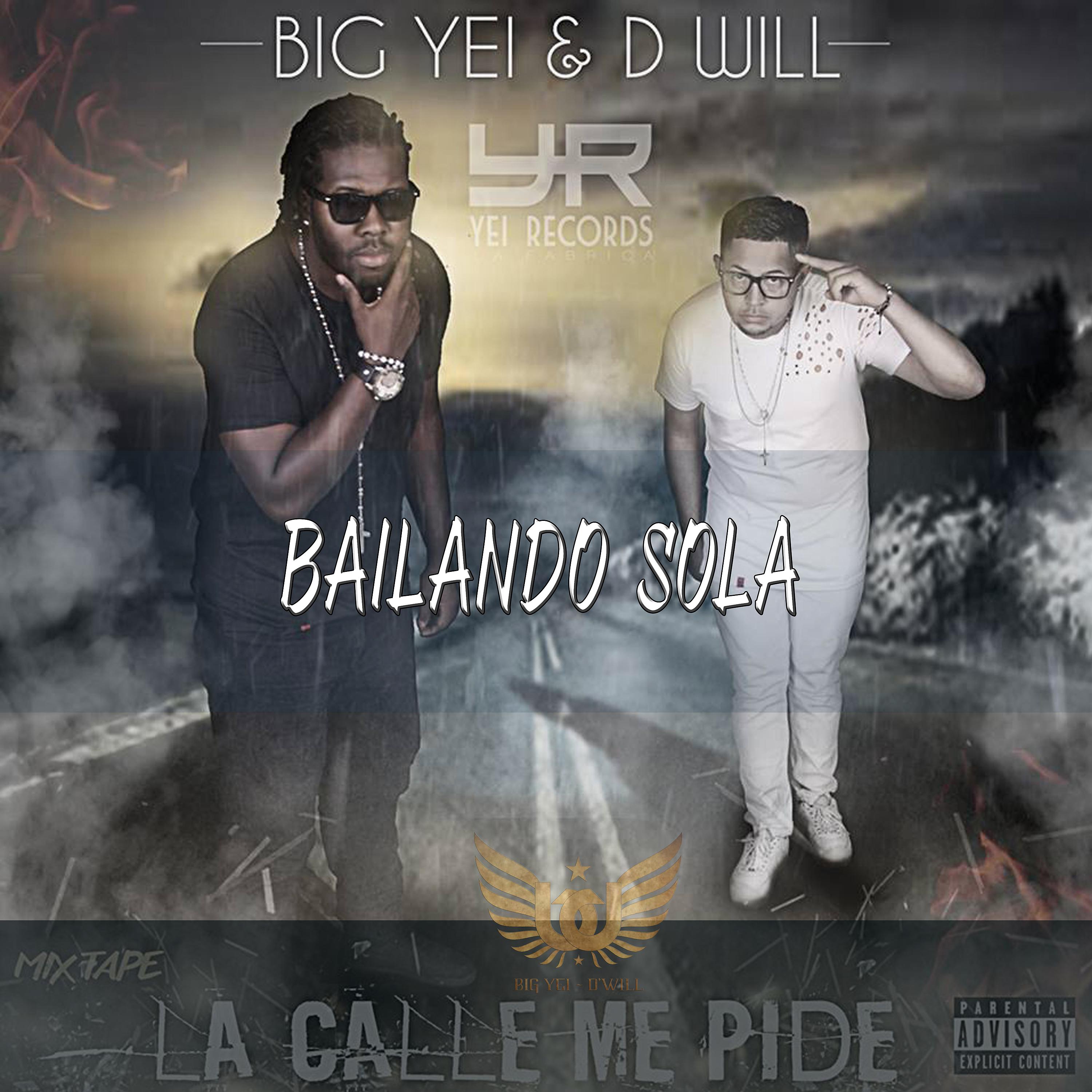 Постер альбома Bailando Sola