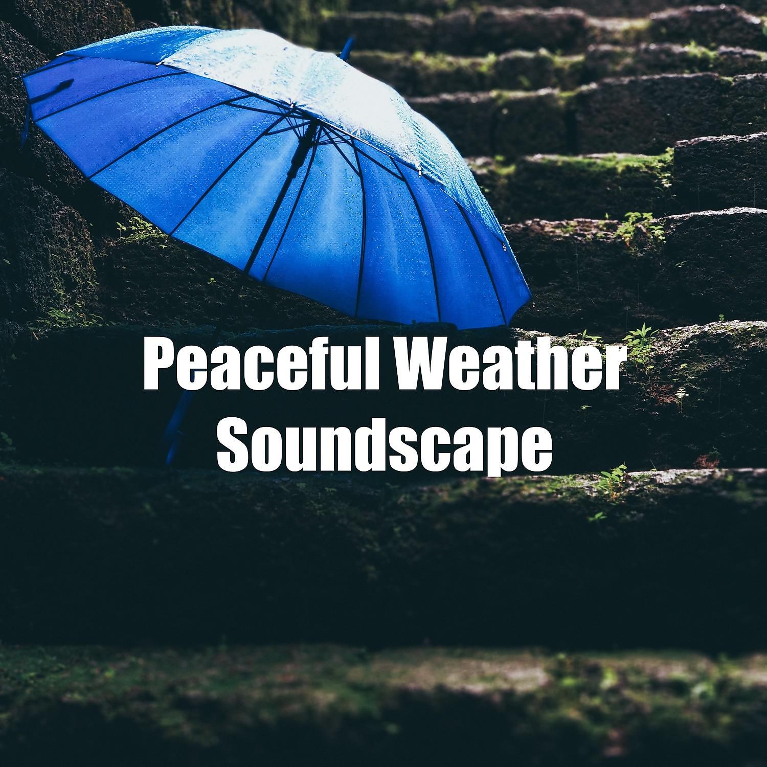 Постер альбома Peaceful Weather Soundscape