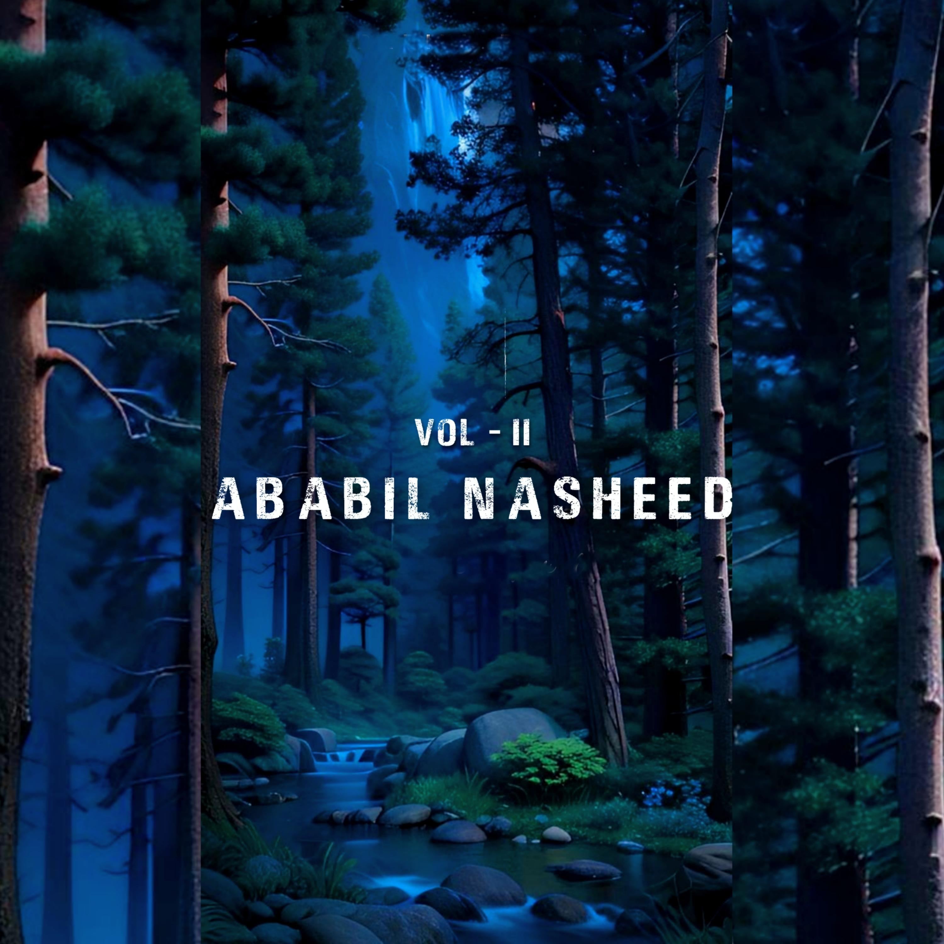 Постер альбома Ababil Nasheed (VOL-II)