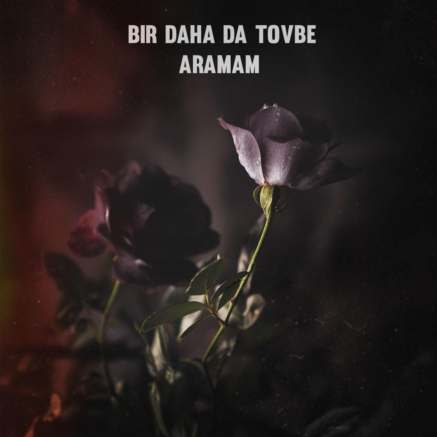 Постер альбома Bir Daha da Tövbe Aramam