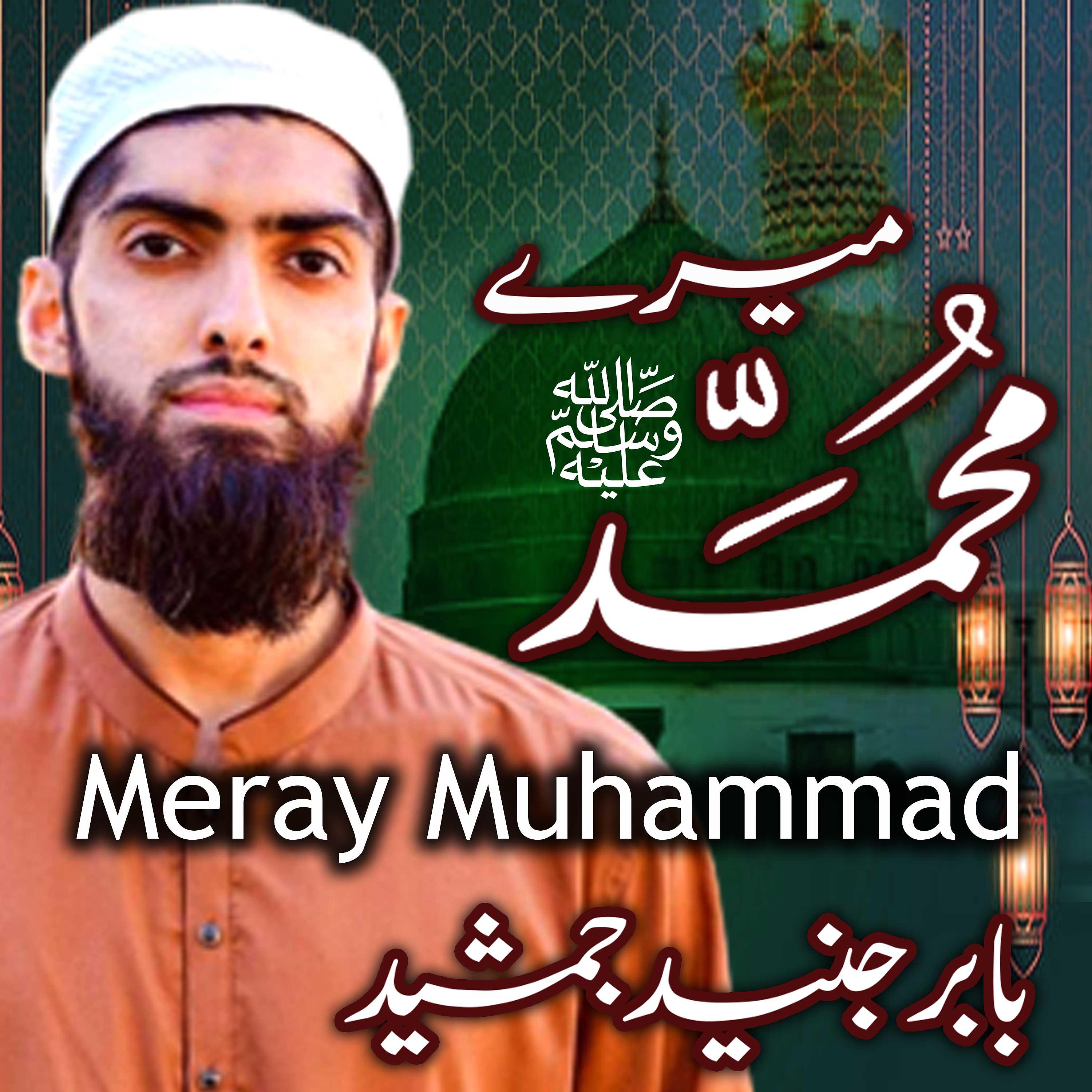 Постер альбома Meray Muhammad - Single