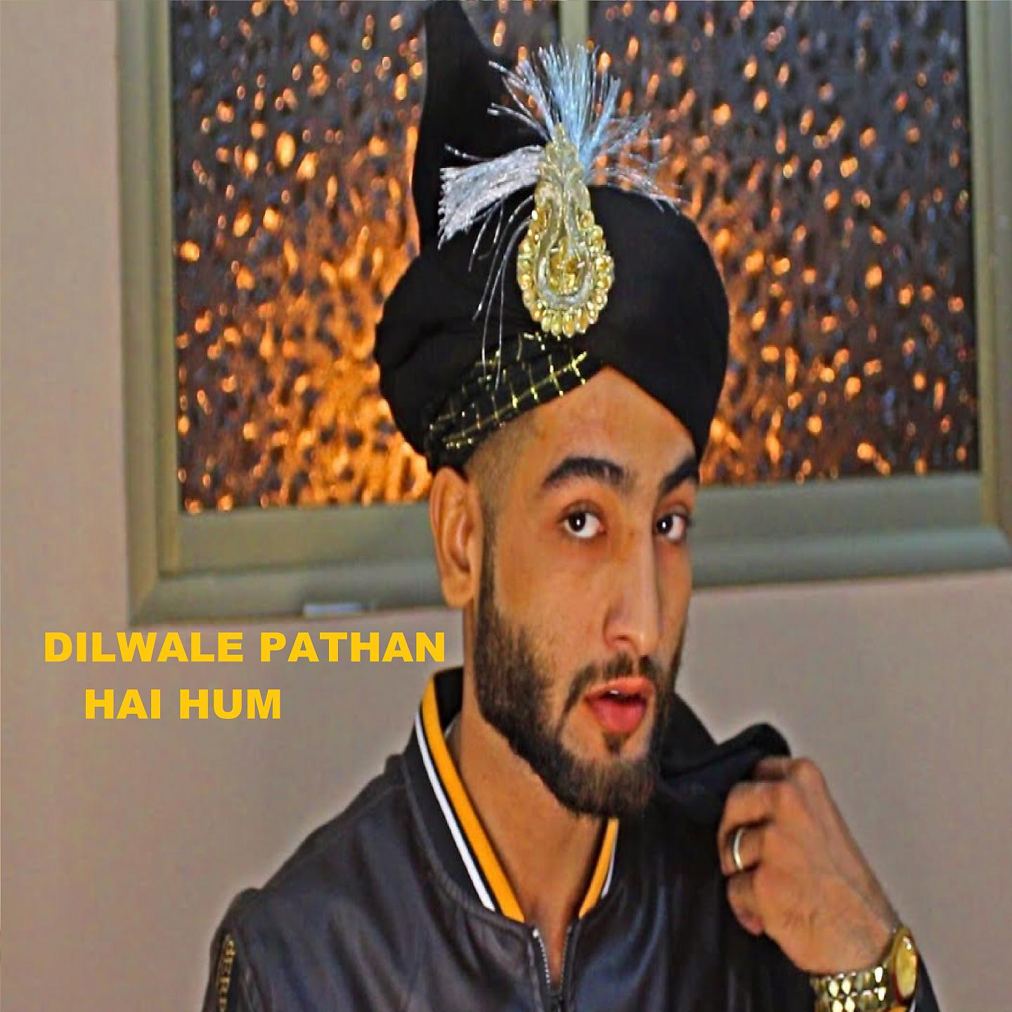 Постер альбома Dilwale Pathan Hai Hum
