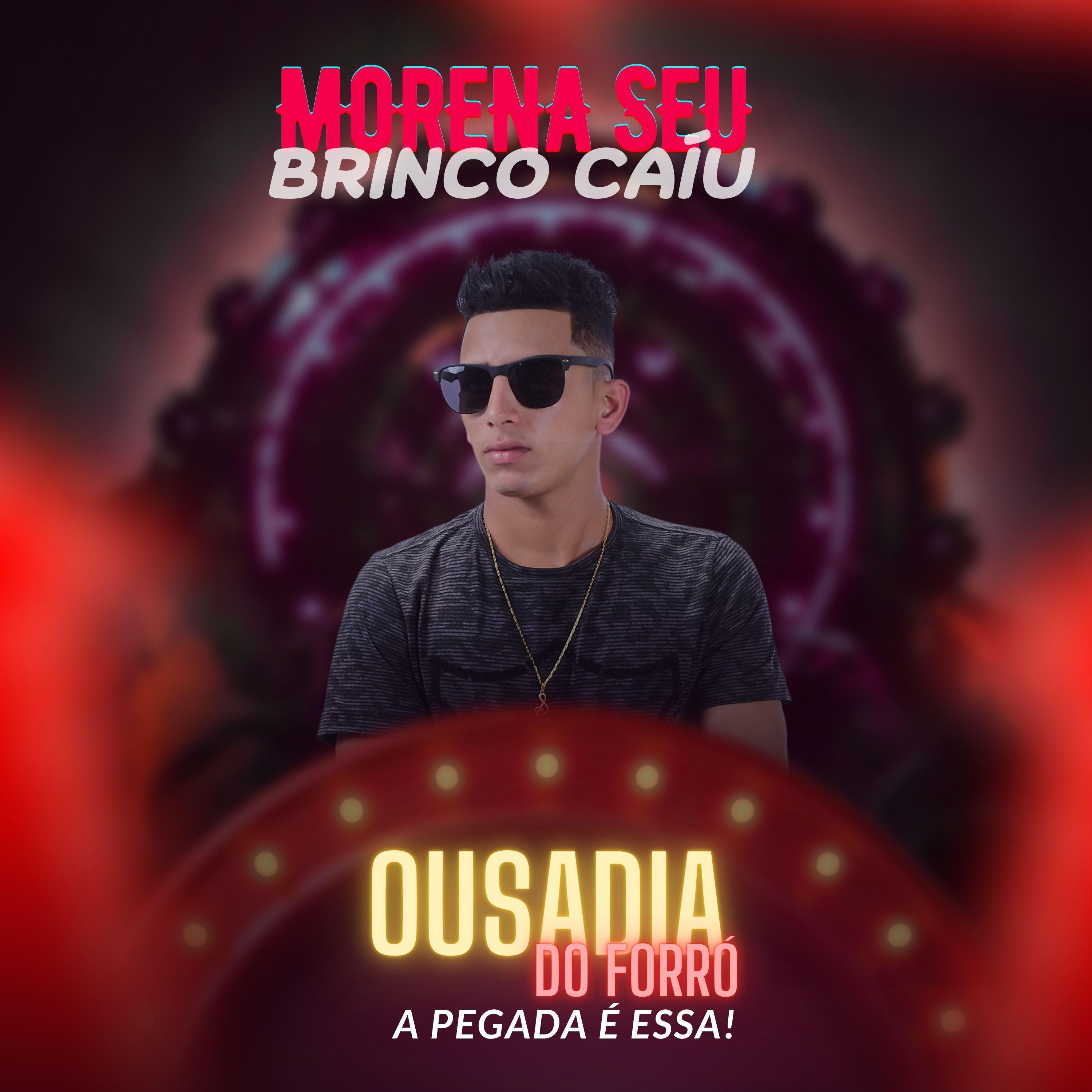 Постер альбома Morena Seu Brinco Caiu