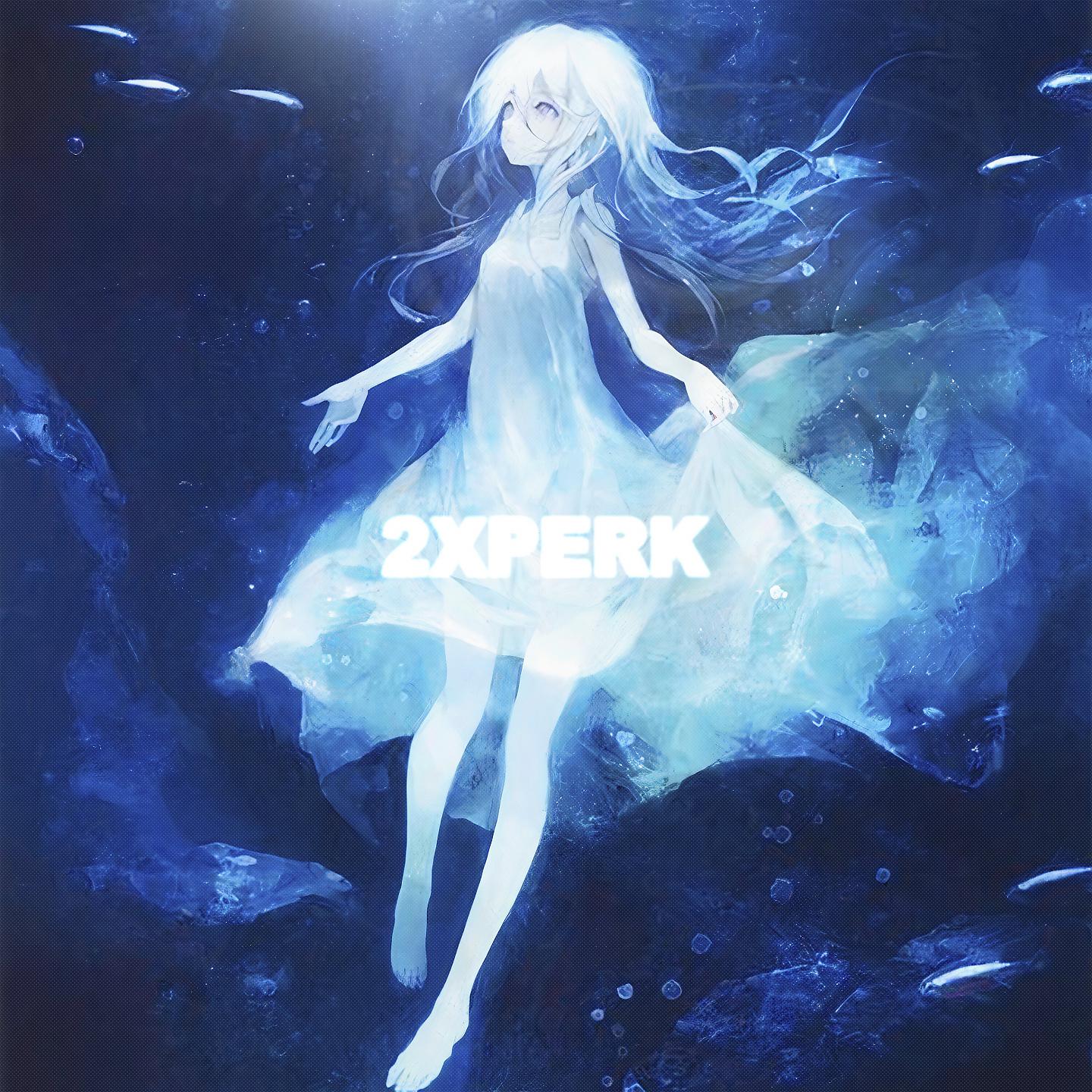 Постер альбома 2XPerk