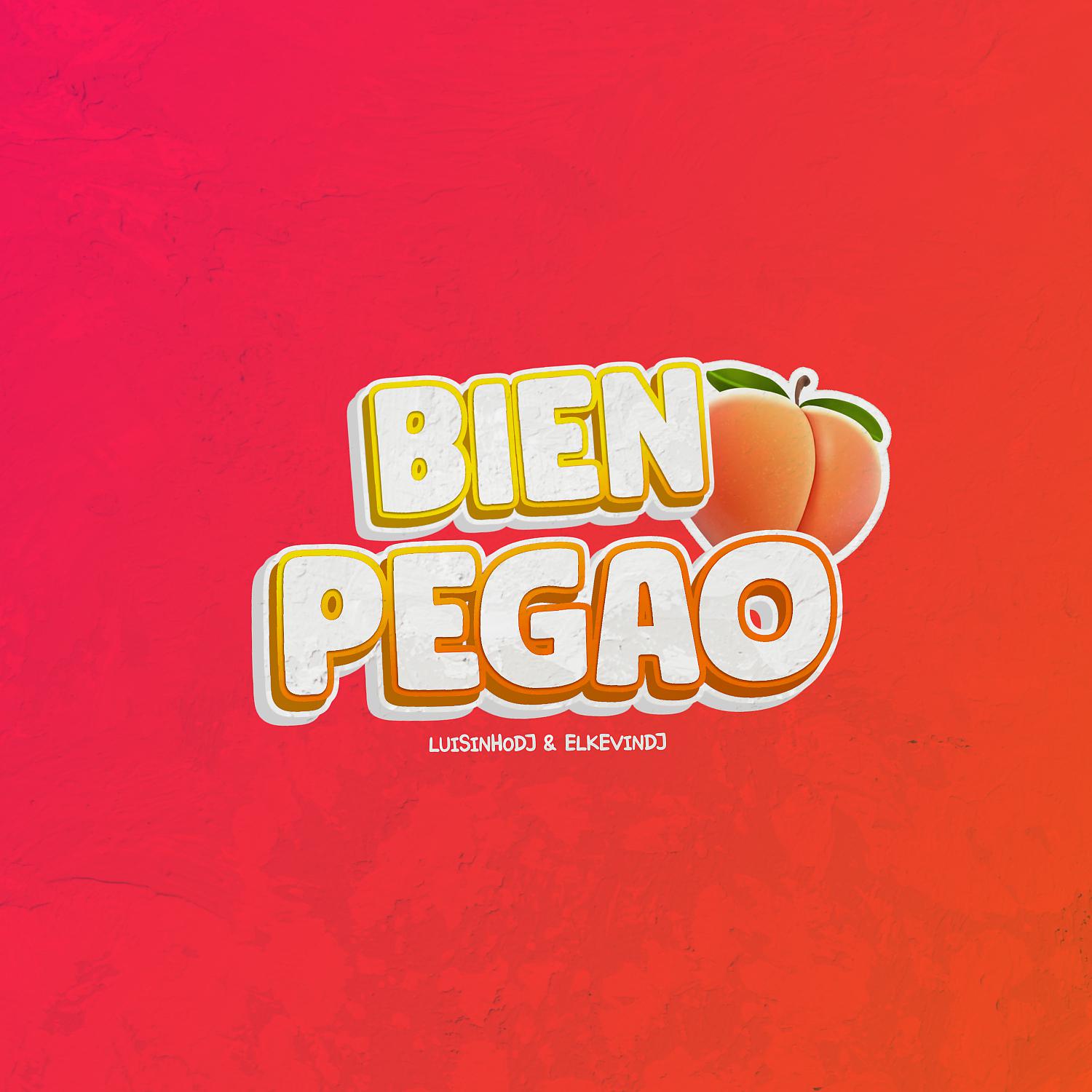 Постер альбома Bien Pegao (Ziriguidum 2020)