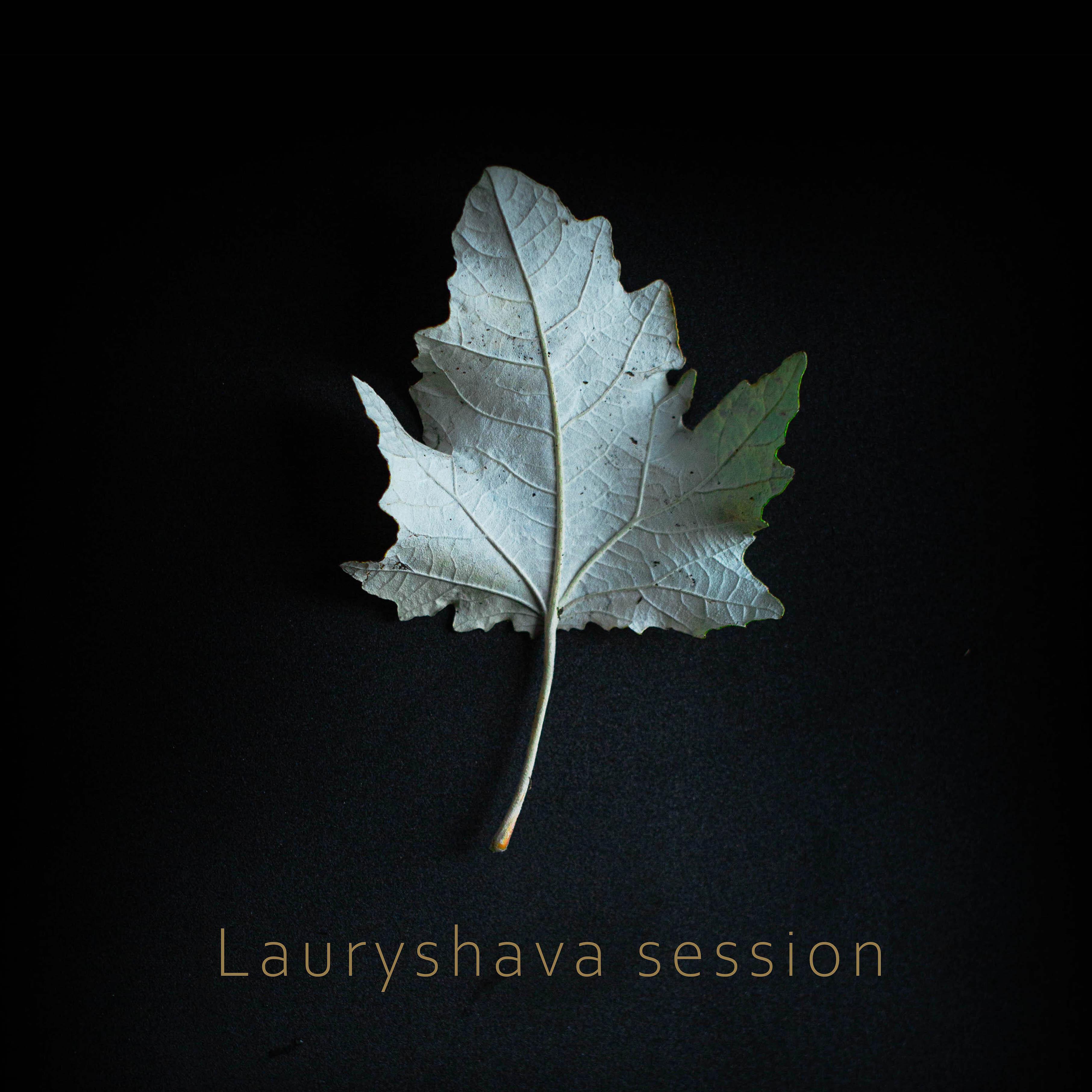 Постер альбома Lauryshava Session