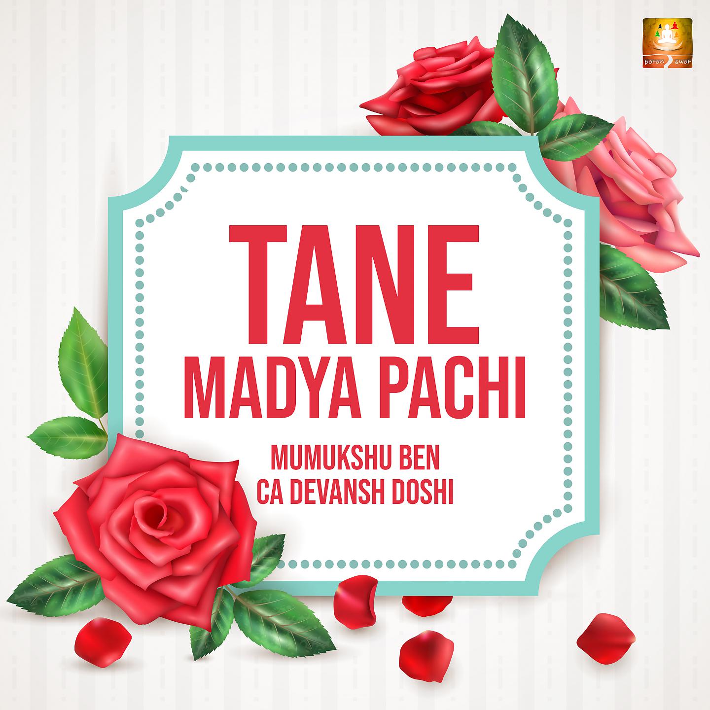 Постер альбома Tane Madya Pachi
