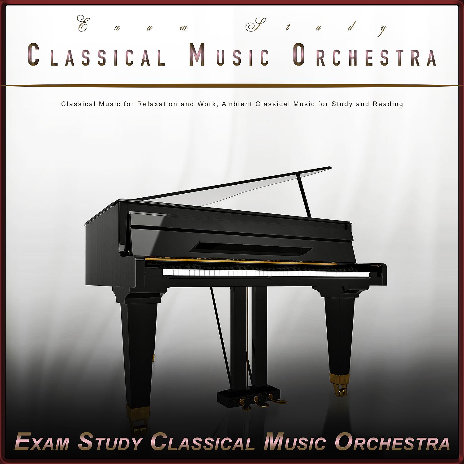 Постер альбома Exam Study Classical Music Orchestra: Classical Music for Relaxation and Work, Ambient Classical Music for Study and Reading