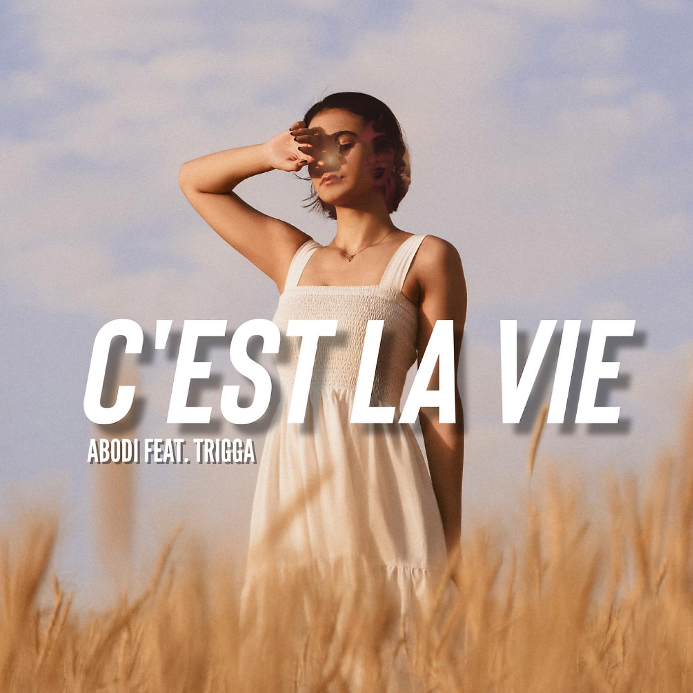 Постер альбома C'est La Vie
