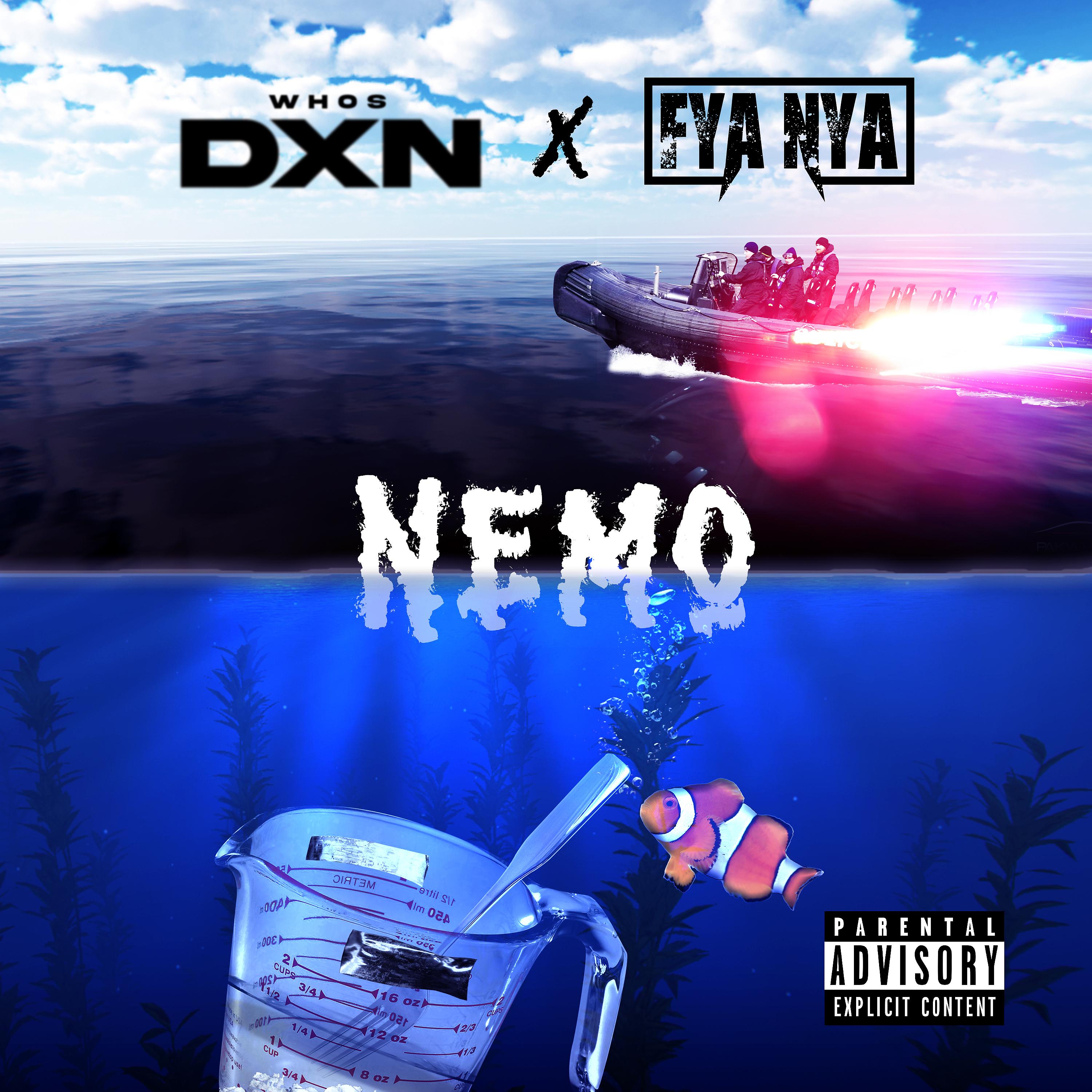 Постер альбома Nemo
