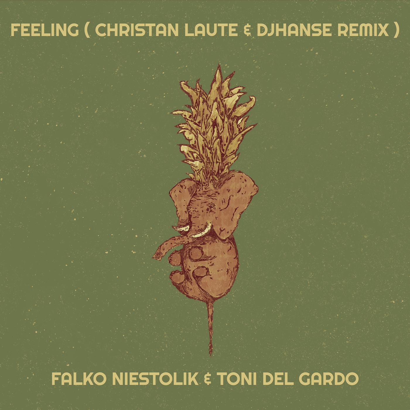 Постер альбома Feeling (Christan Laute & DjHanse Remix)