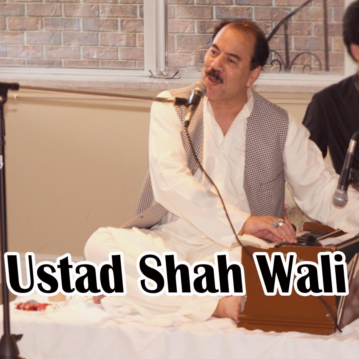 Постер альбома Ustad Shah Wali