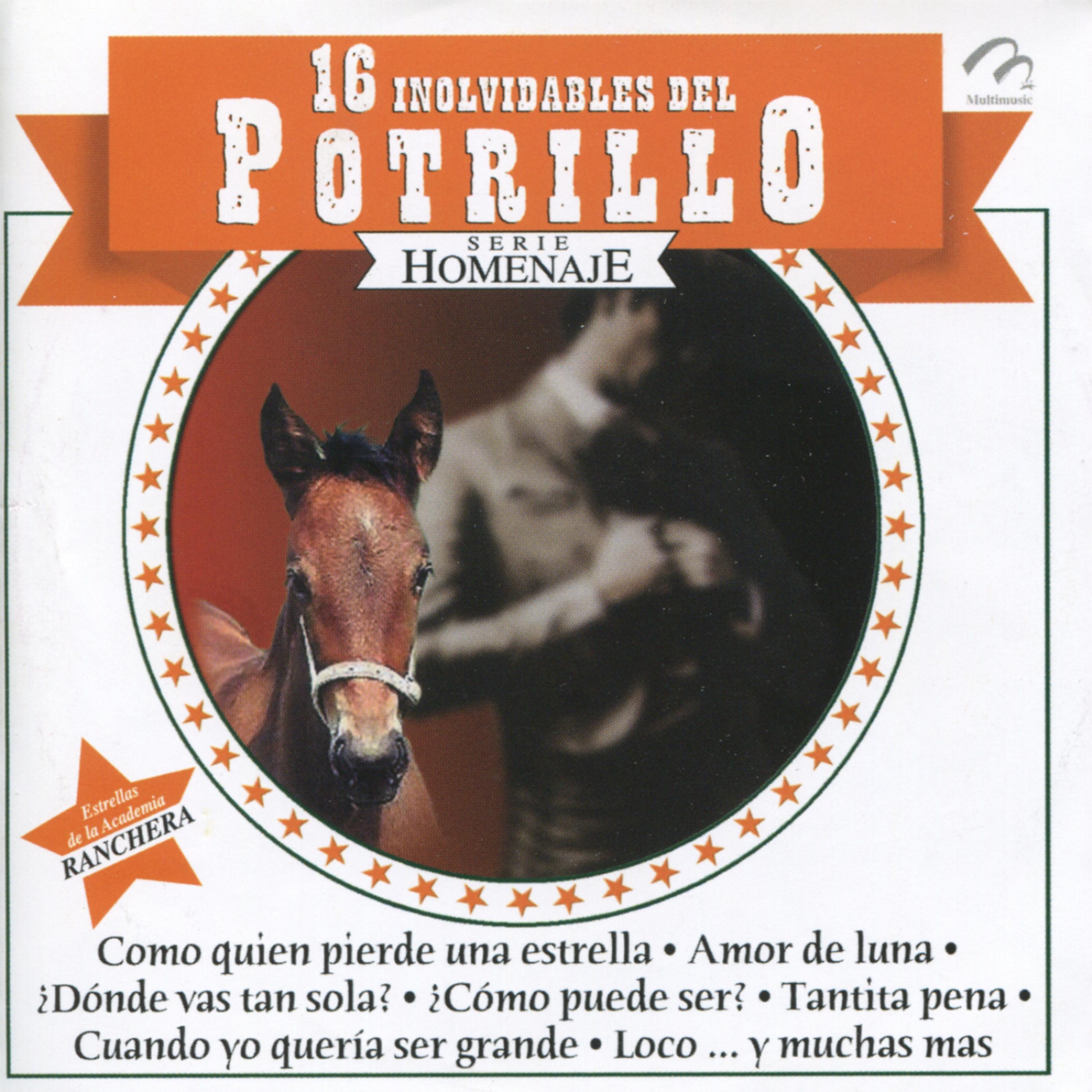 Постер альбома 16 Inolvidables del Potrillo