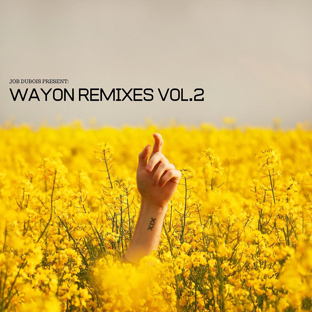 Постер альбома WayOn Remixes, Vol. 2