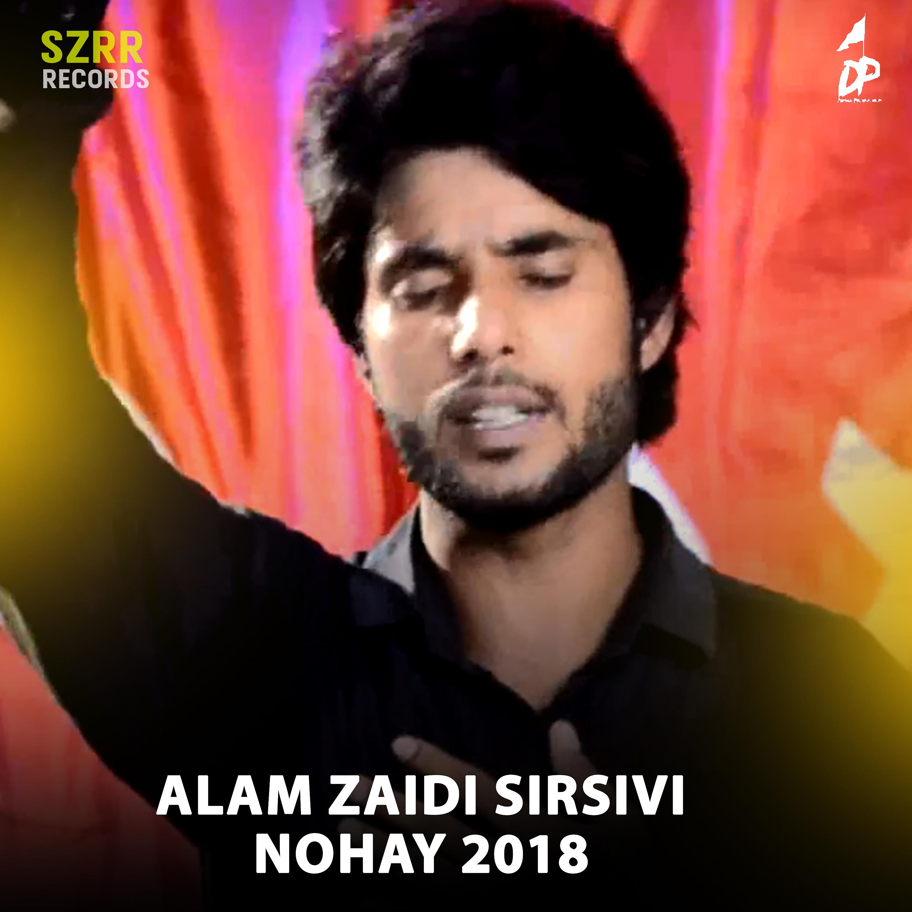 Постер альбома Alam Zaidi Sirsivi Nohay 2018