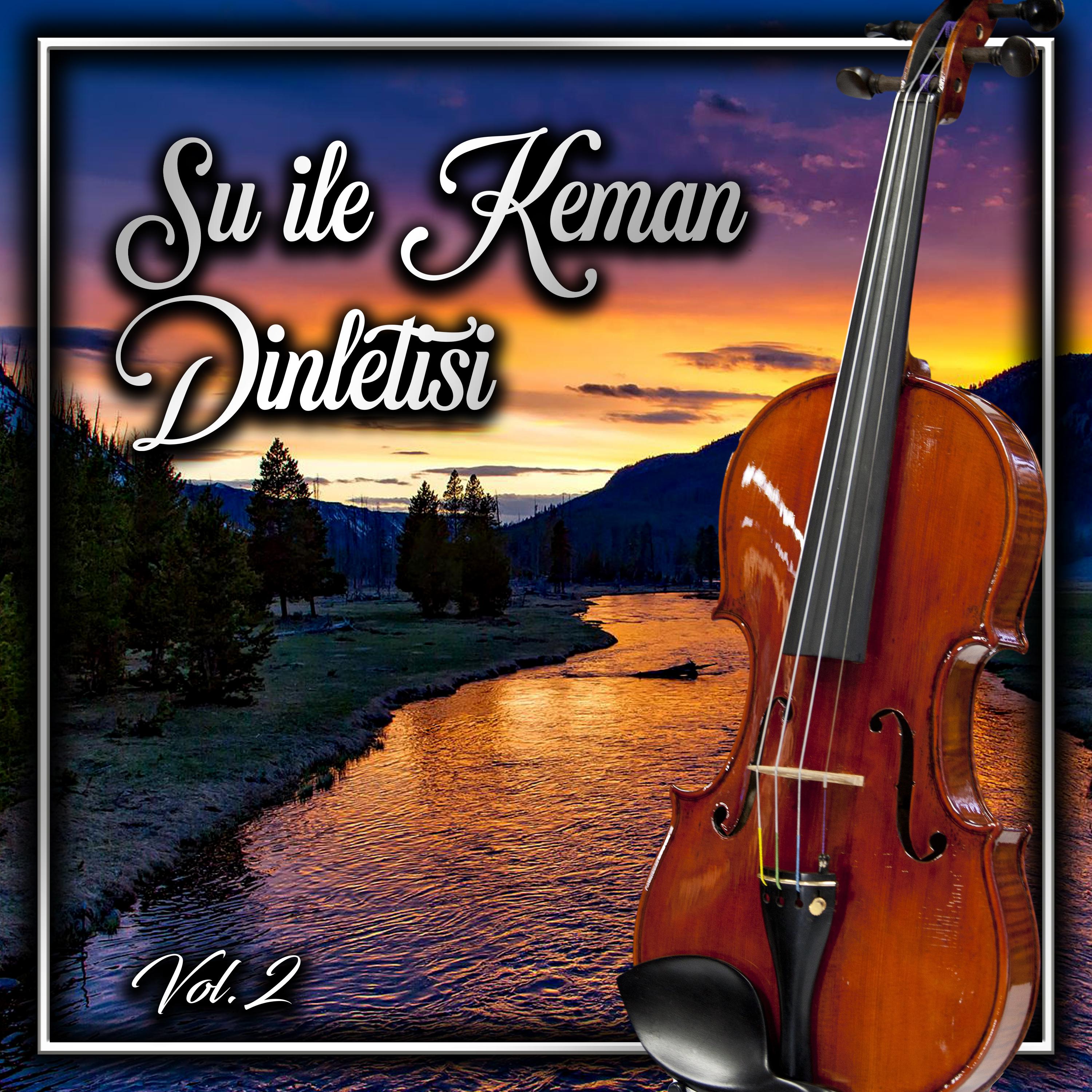 Постер альбома Su İle Keman Dinletisi, Vol. 2