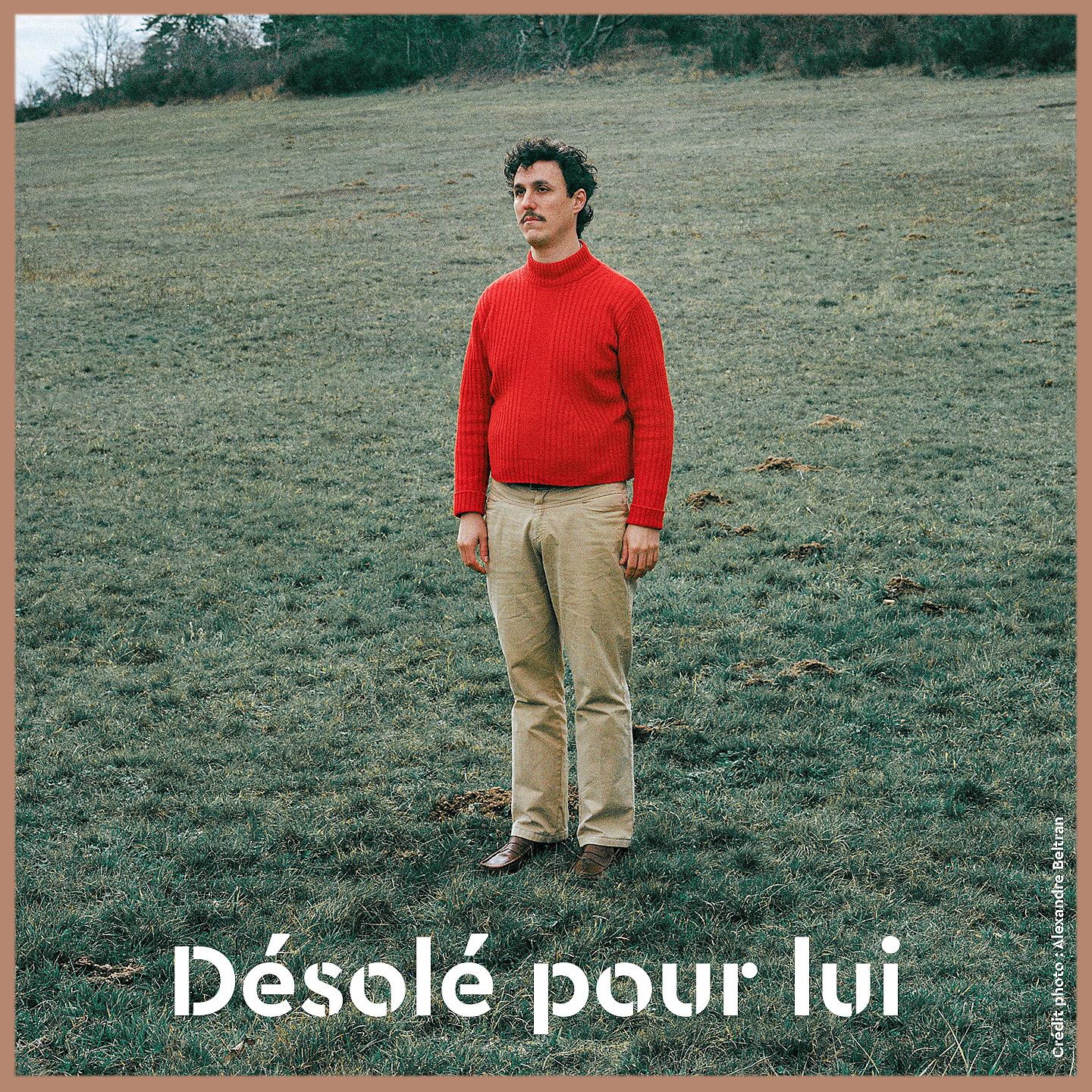 Постер альбома Désolé pour lui