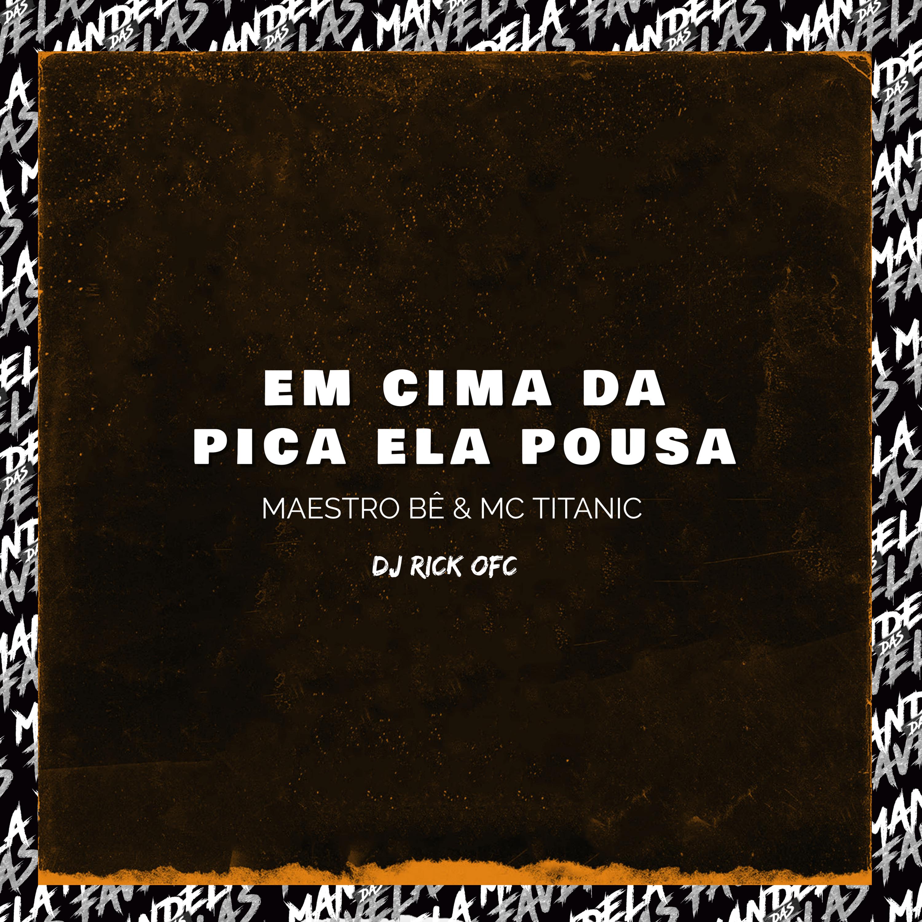 Постер альбома Em Cima da Pica Ela Pousa