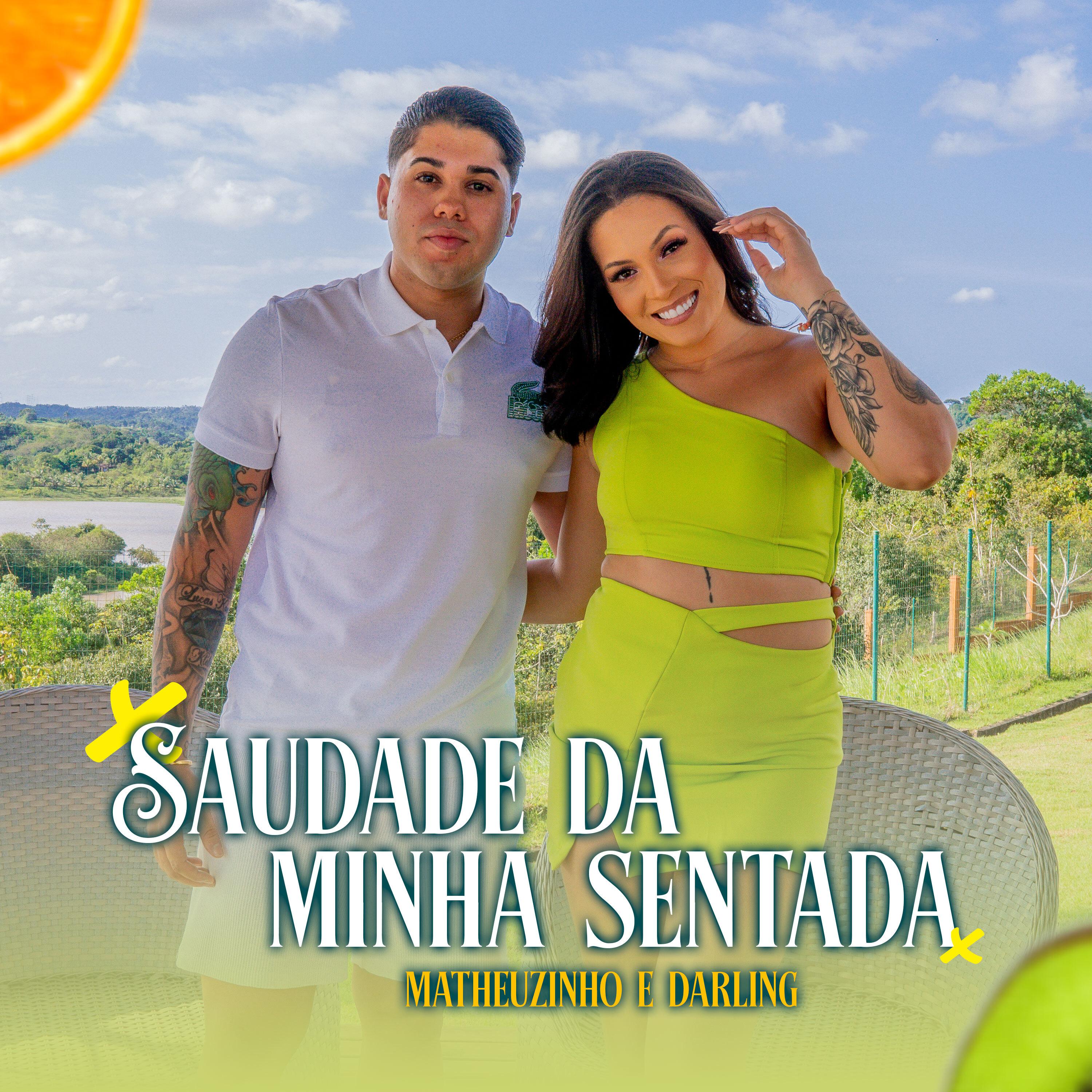 Постер альбома Saudade da Minha Sentada
