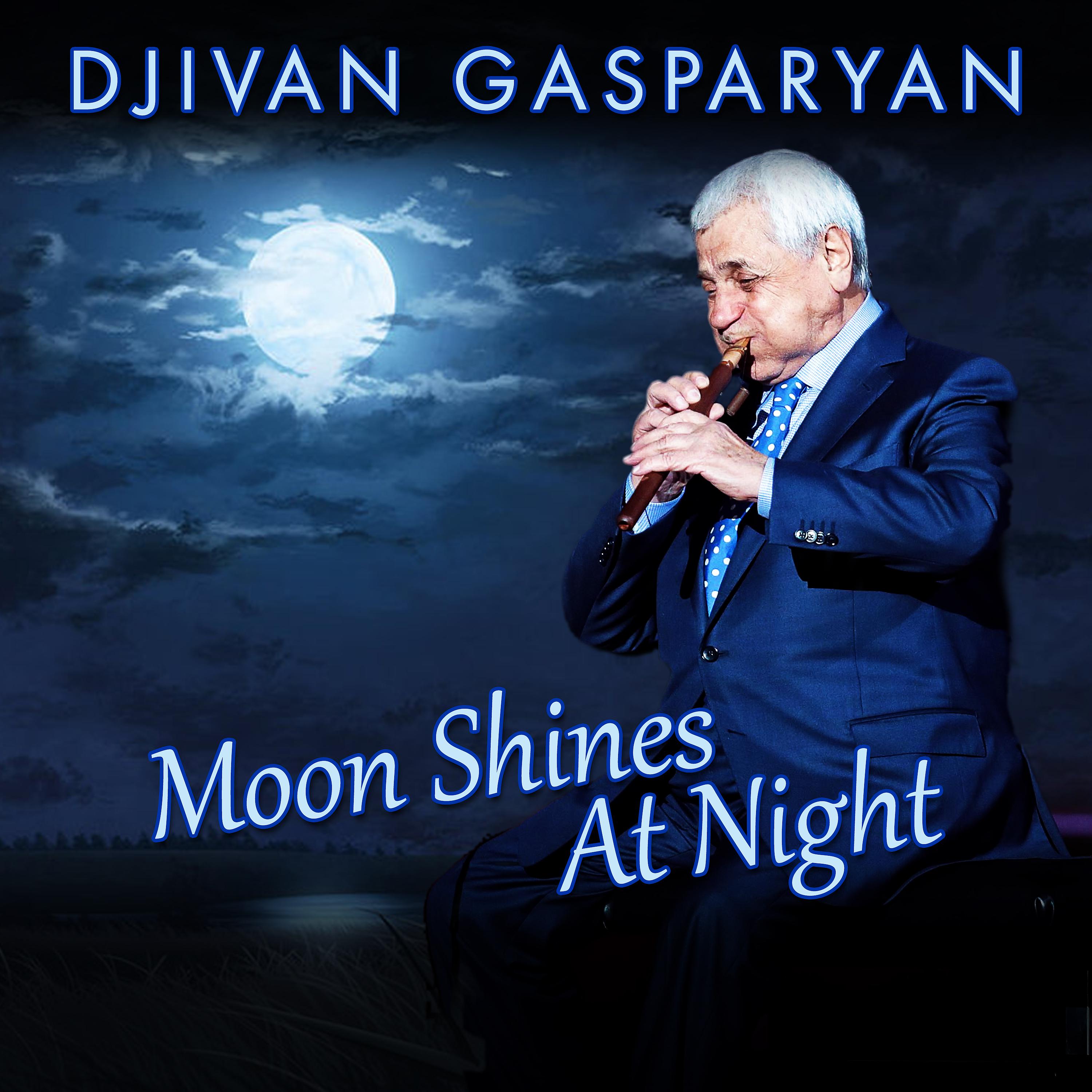 Постер альбома Moon Shines At Night