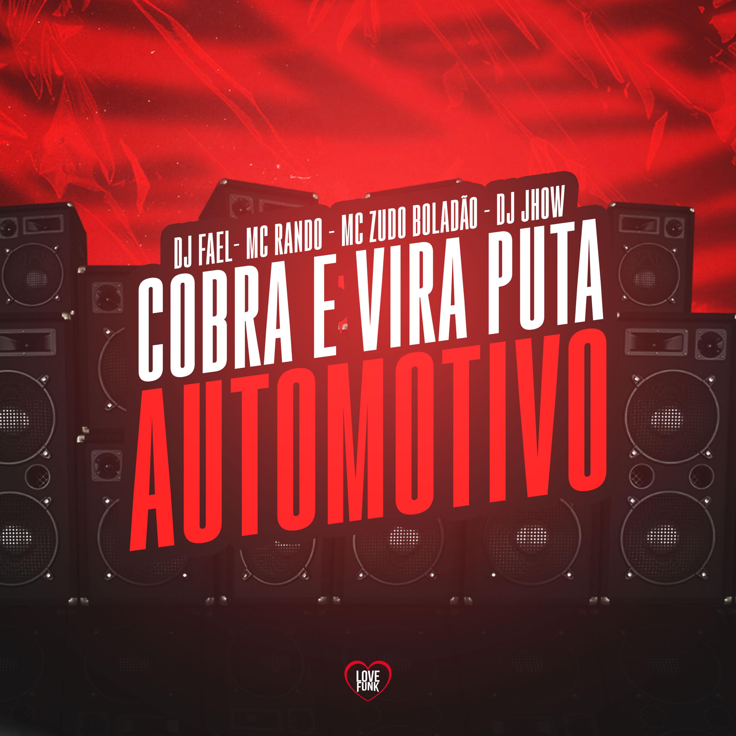 Постер альбома Cobra e Vira Puta Automotivo