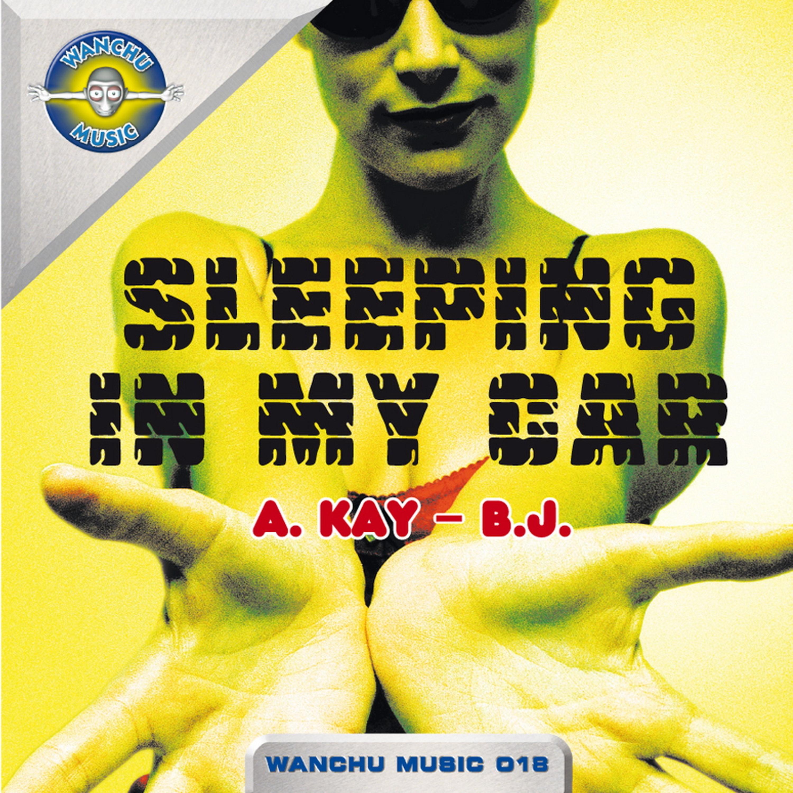 Постер альбома Sleeping in My Car