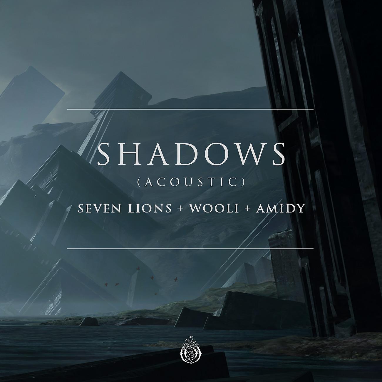 Постер альбома Shadows (Acoustic)