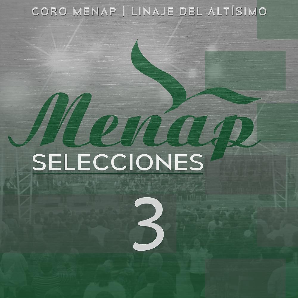 Постер альбома Menap Selecciones 3