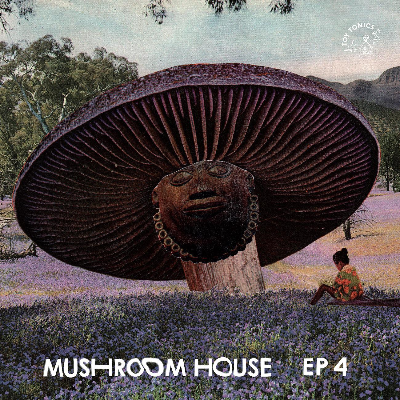 Постер альбома Mushroom House EP4