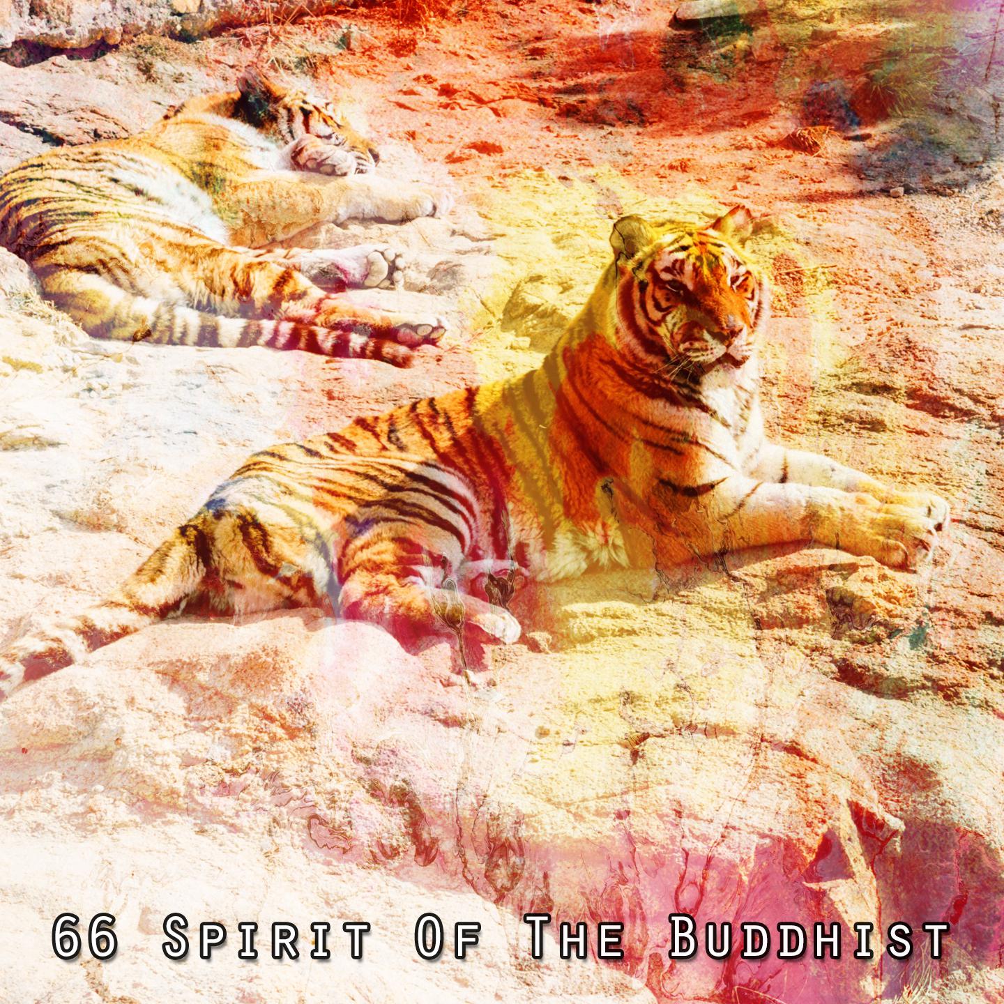 Постер альбома 66 Spirit Of The Buddhist