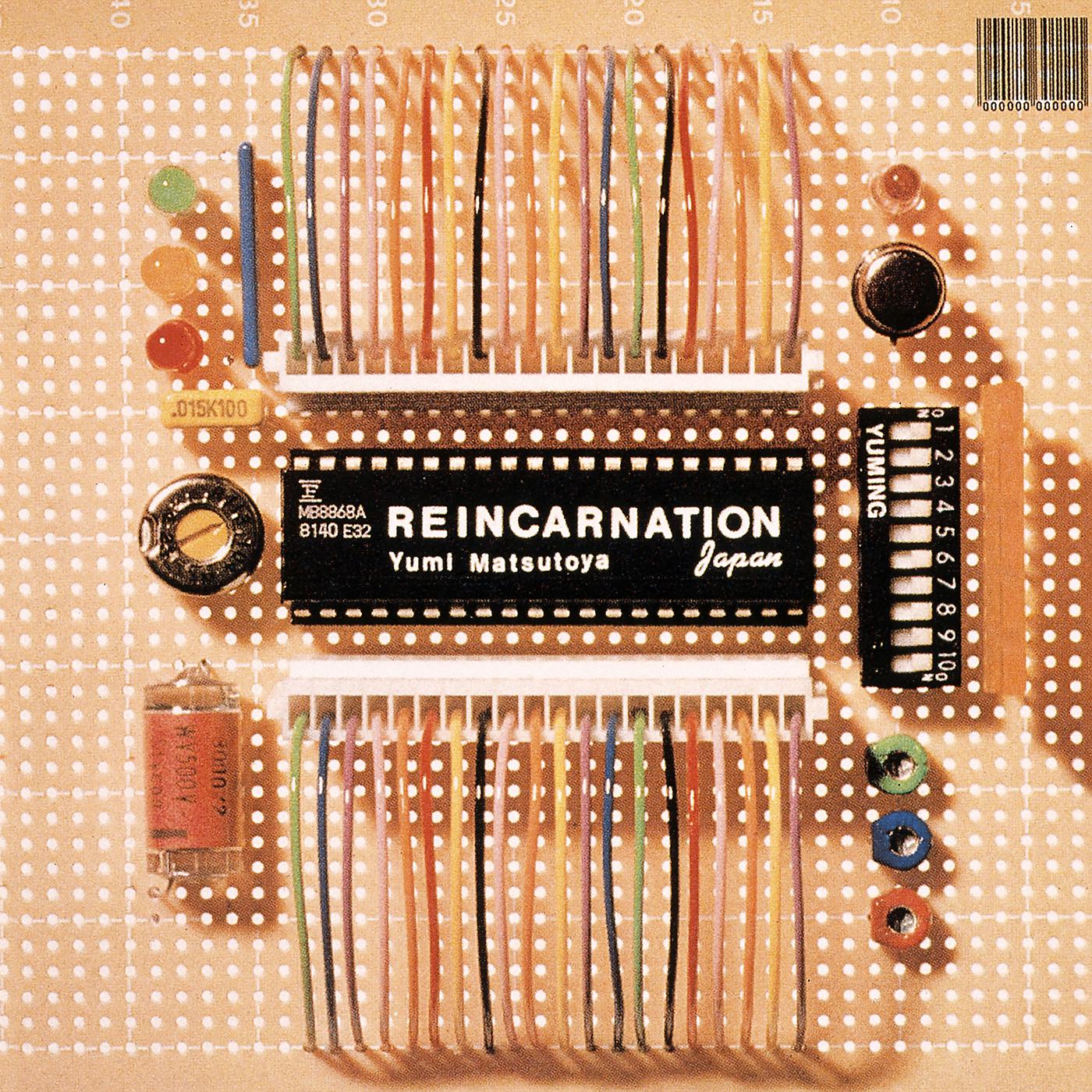 Постер альбома Reincarnation