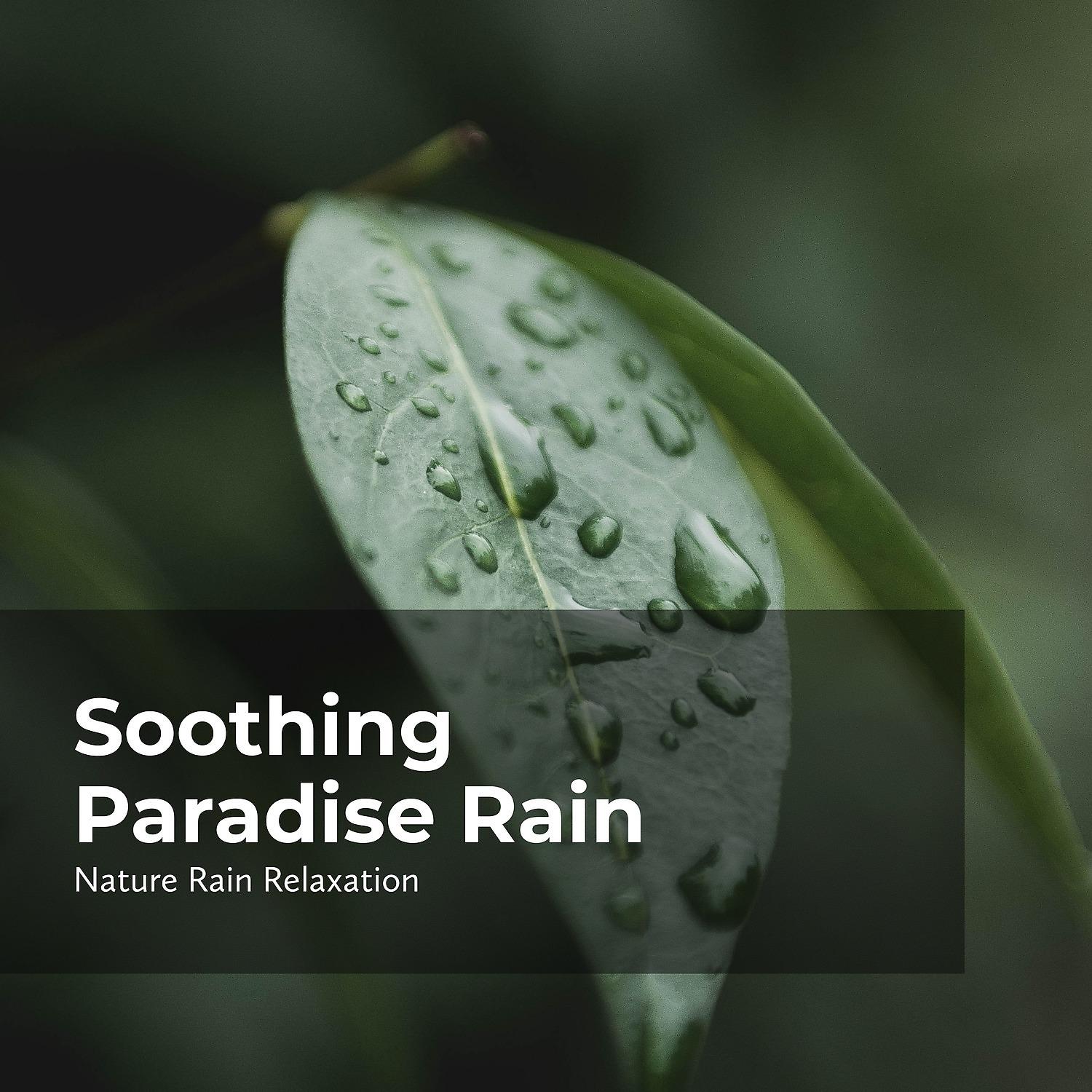 Постер альбома Soothing Paradise Rain