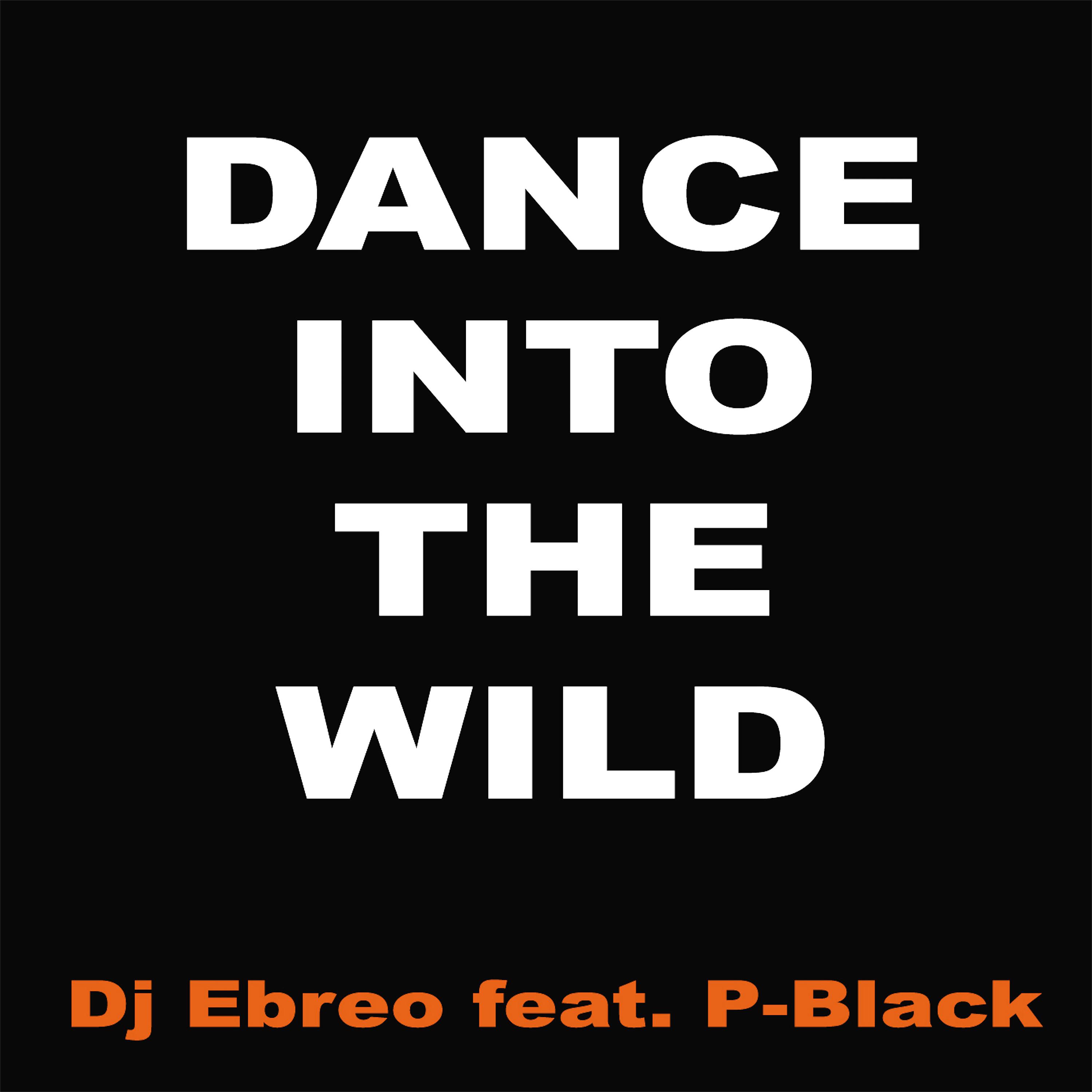 Постер альбома Dance into the Wild