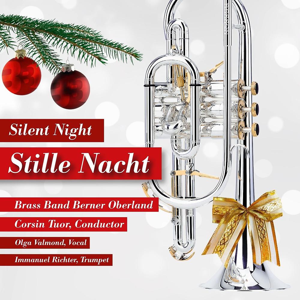 Постер альбома Stille Nacht
