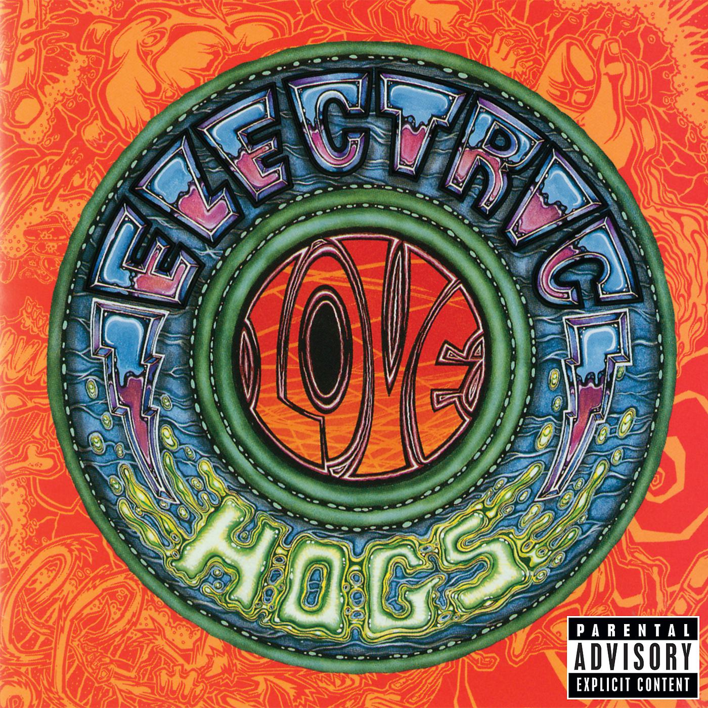 Постер альбома Electric Love Hogs