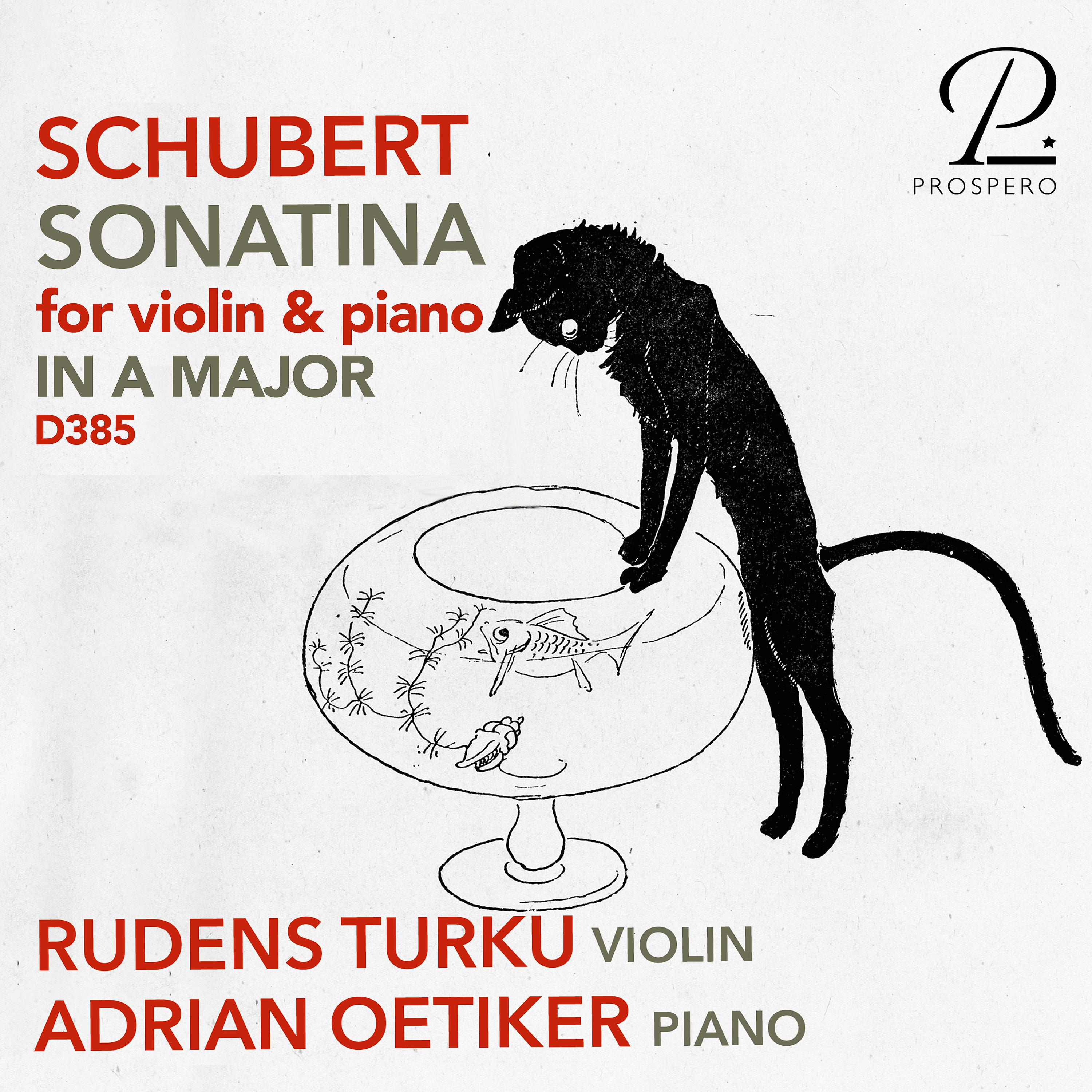 Постер альбома Violin Sonata (Sonatina) in A Minor, Op. 137 No. 2, D. 385