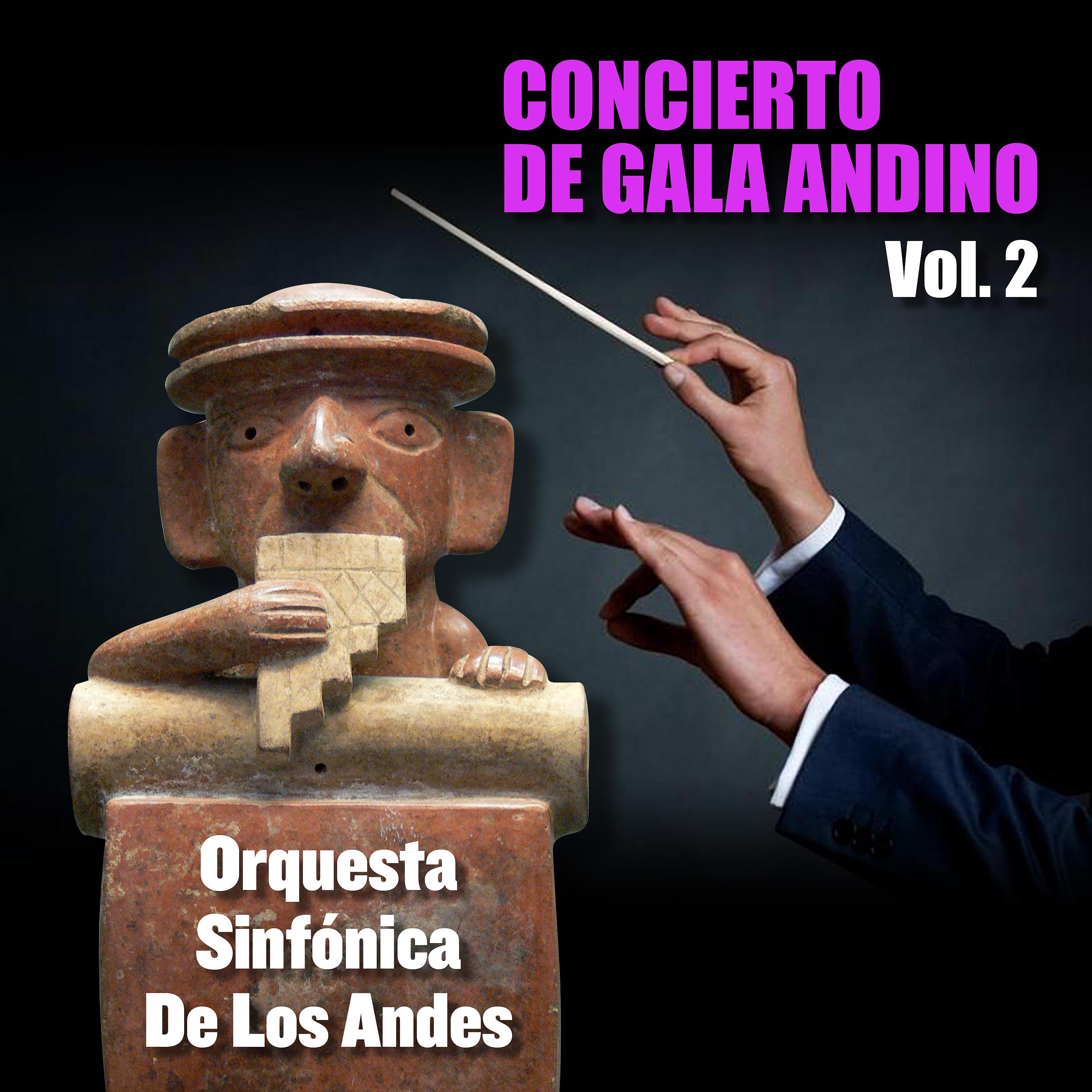 Постер альбома Concierto de Gala Andino, Vol.2