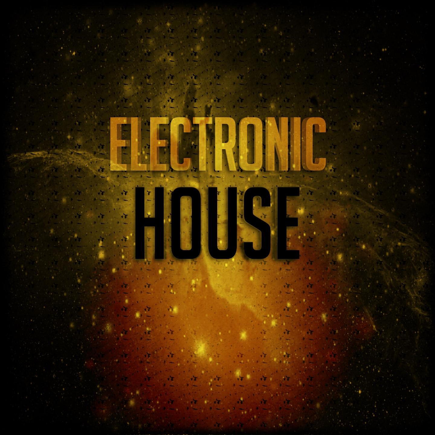 Постер альбома Electronic Ibiza (41 Dance Songs Winter & Summer 2015 Just House Electro Trance Progressive Goa Hits)