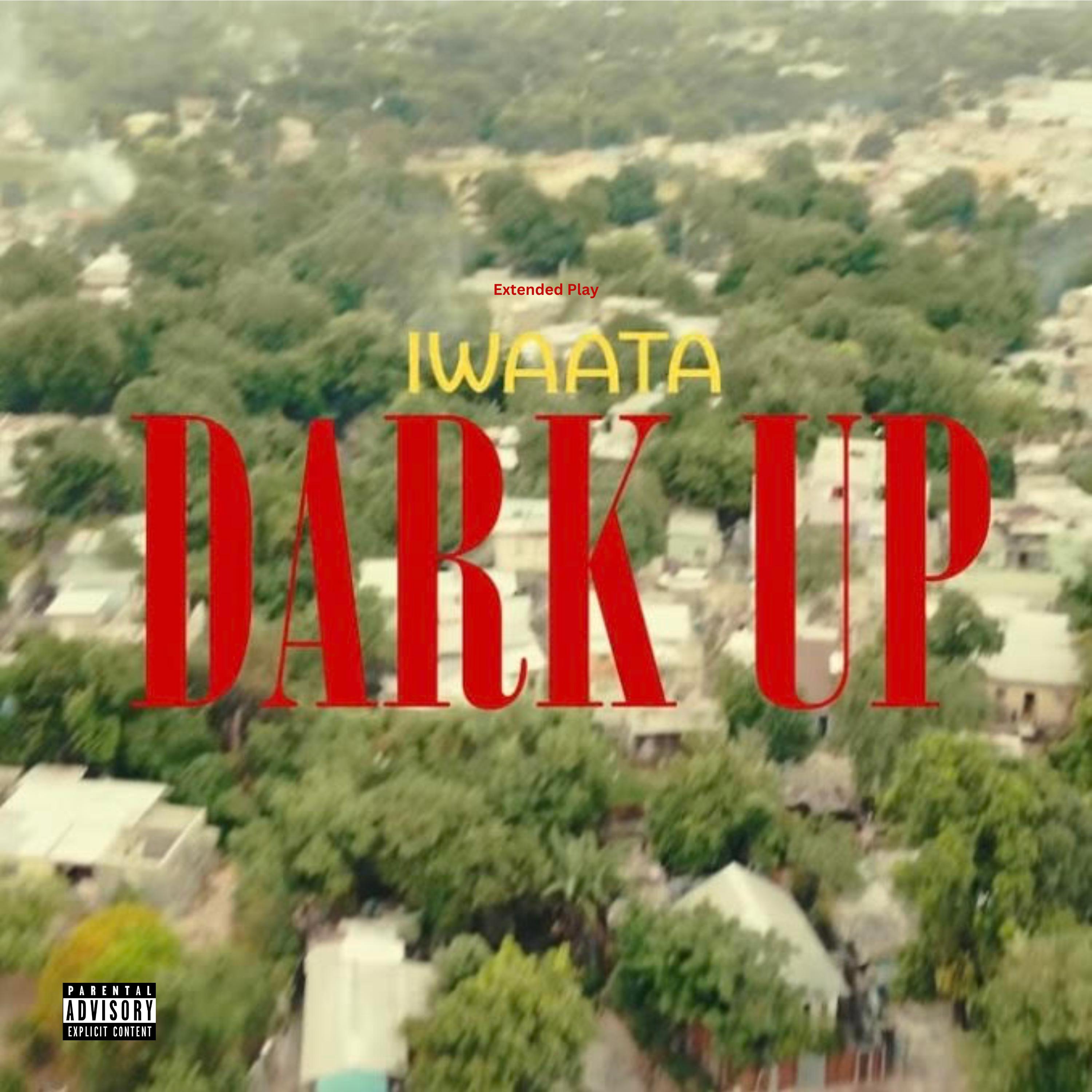 Постер альбома Dark Up