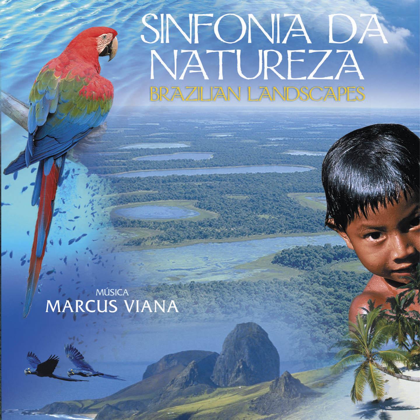 Постер альбома Sinfonia da Natureza