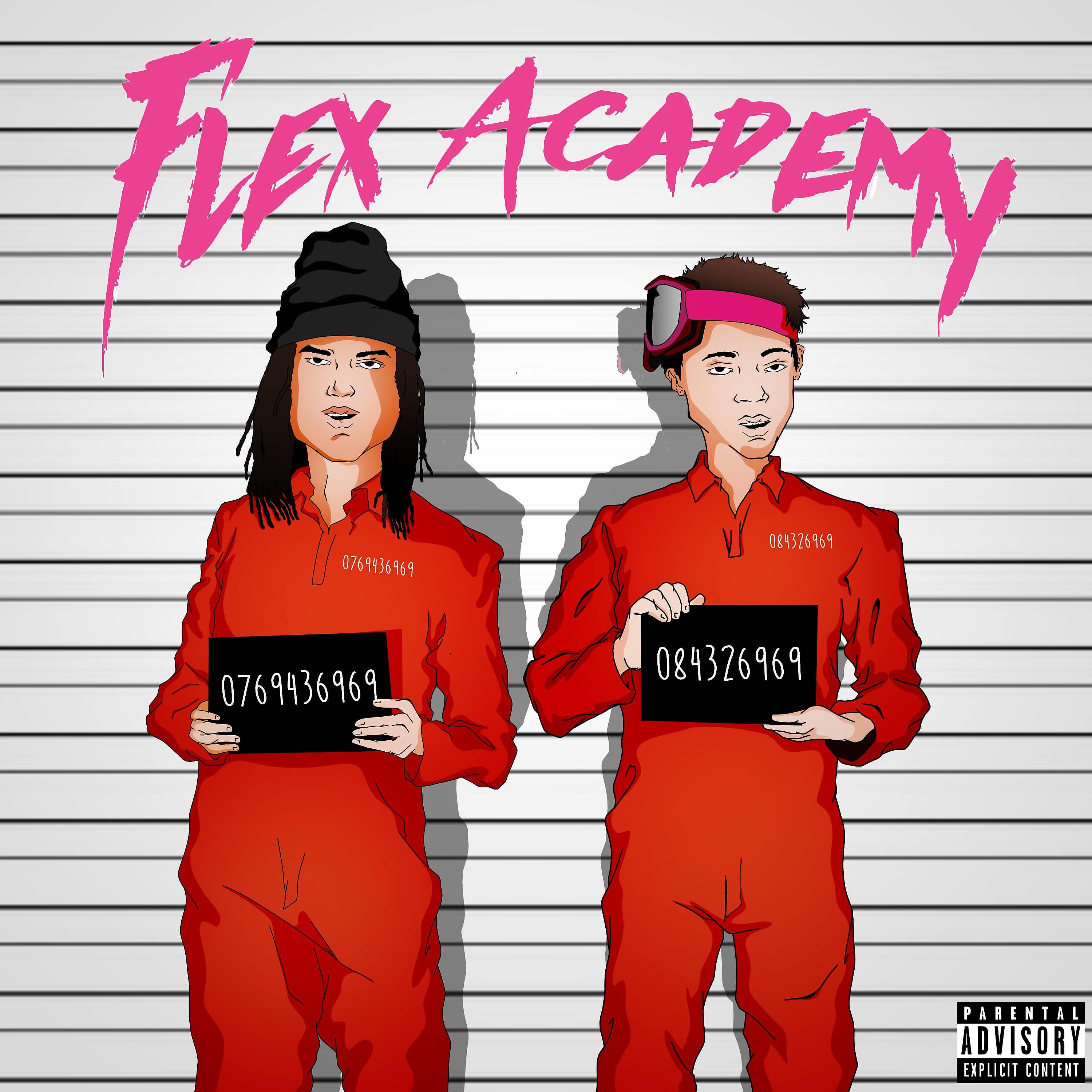 Постер альбома Flex Academy