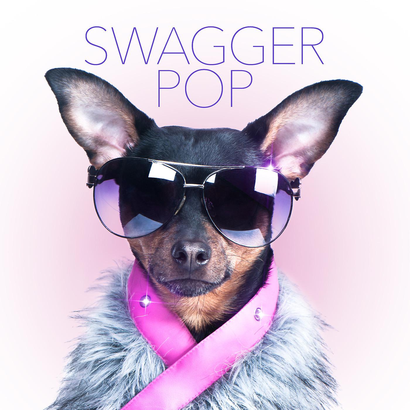 Постер альбома Swagger Pop