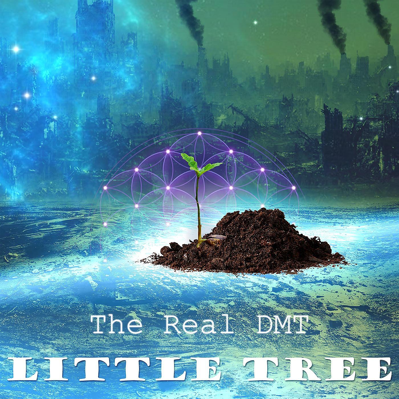 Постер альбома Little Tree