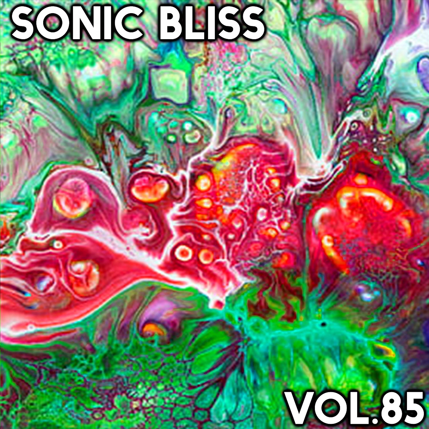 Постер альбома Sonic Bliss, Vol. 85