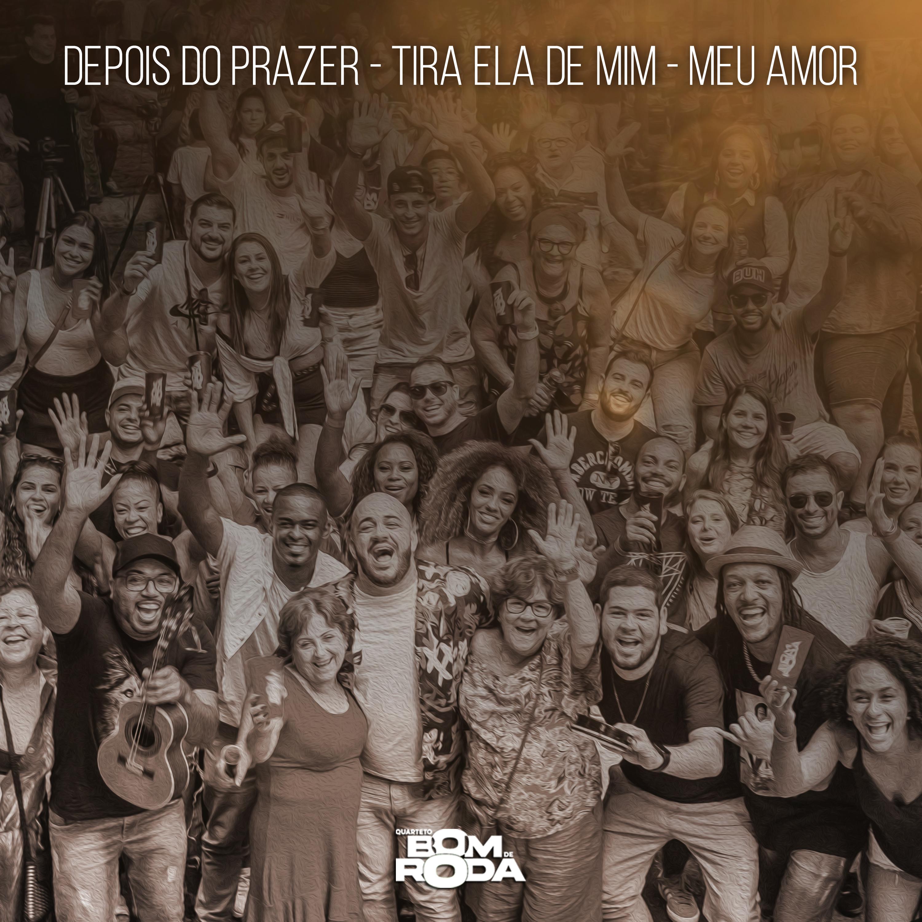 Постер альбома Depois do Prazer / Tira Ela de Mim / Meu Amor